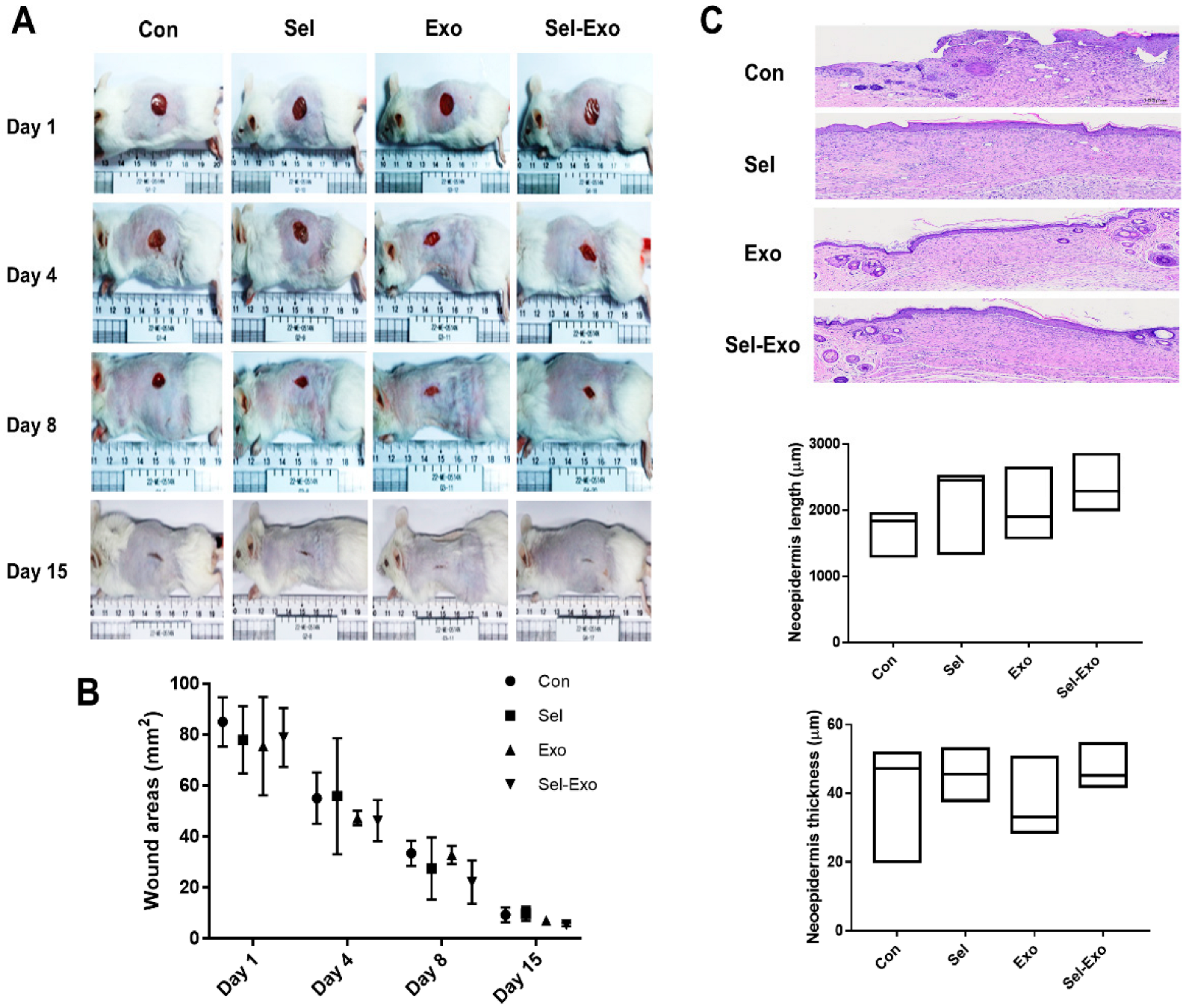 Ijms 23 11543 g008 Ijms 23 11543 g008