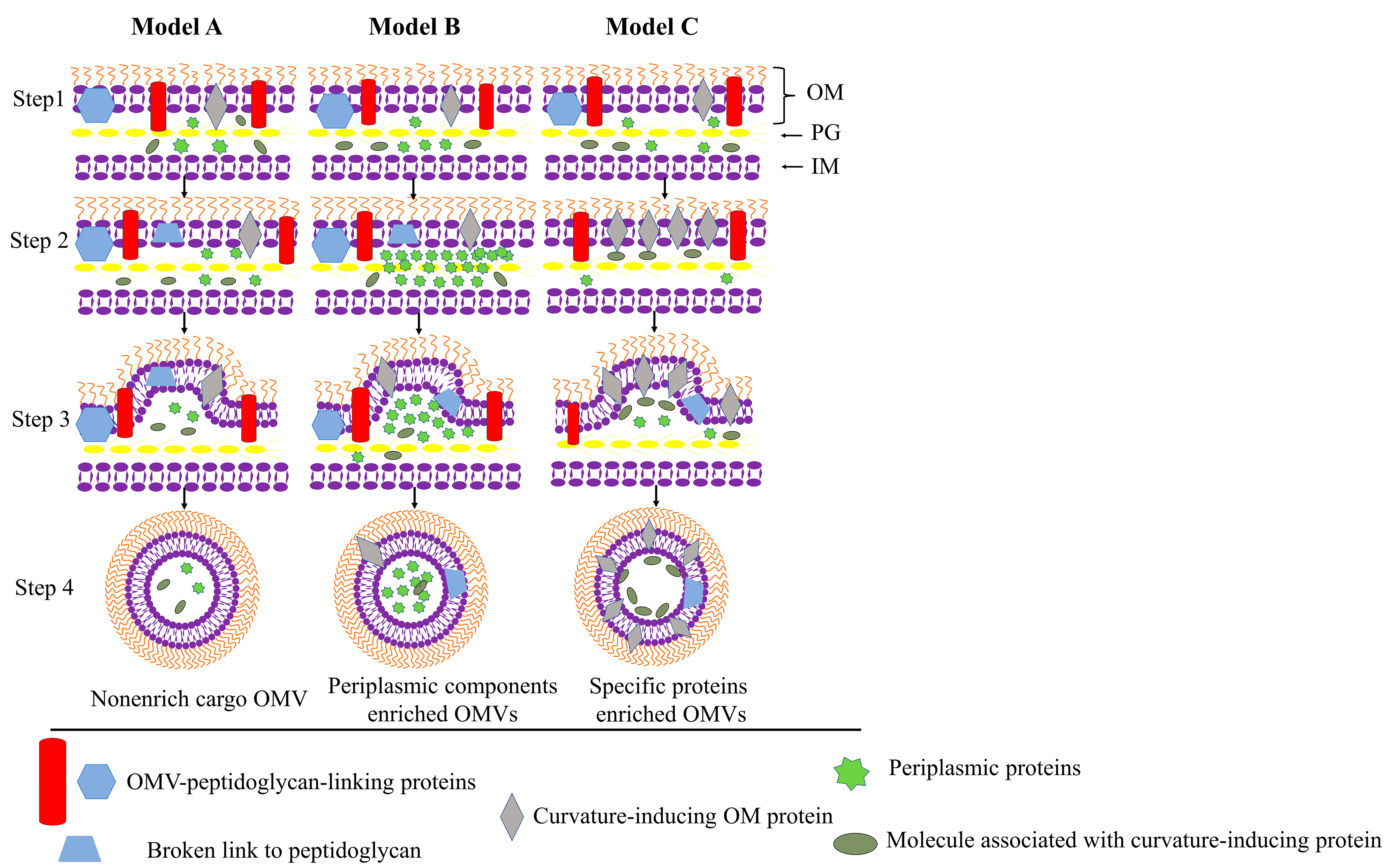 Ijms 23 11553 g003 Ijms 23 11553 g003