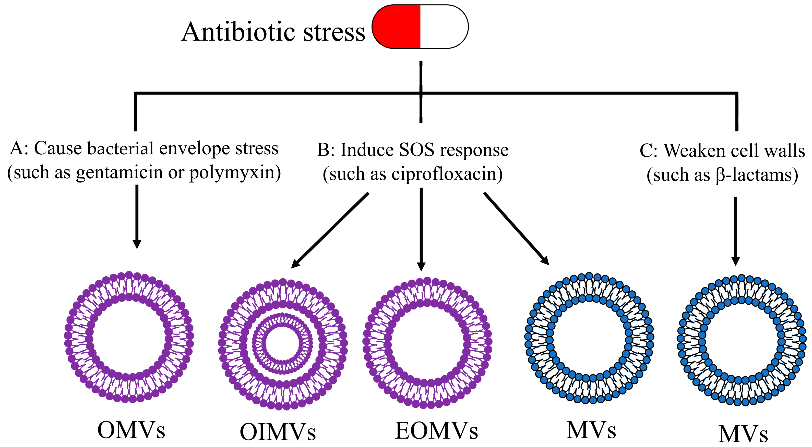 Ijms 23 11553 g004 Ijms 23 11553 g004