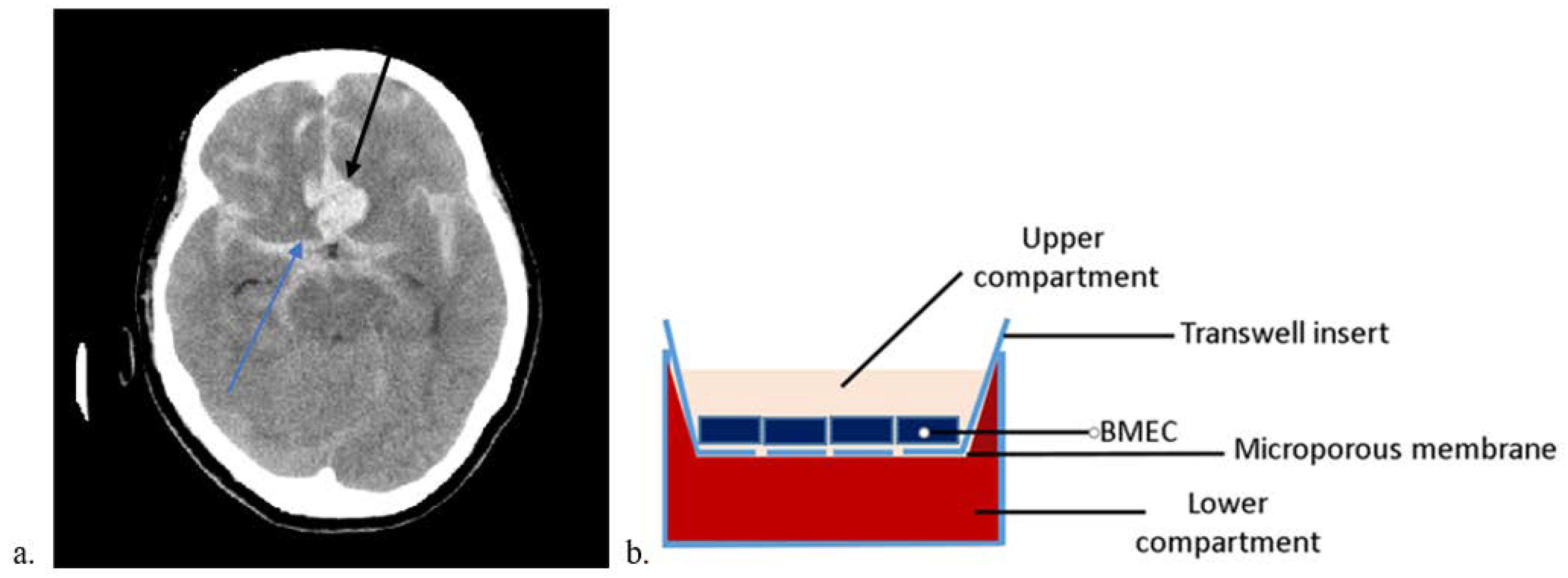 Ijms 23 11557 g001 Ijms 23 11557 g001