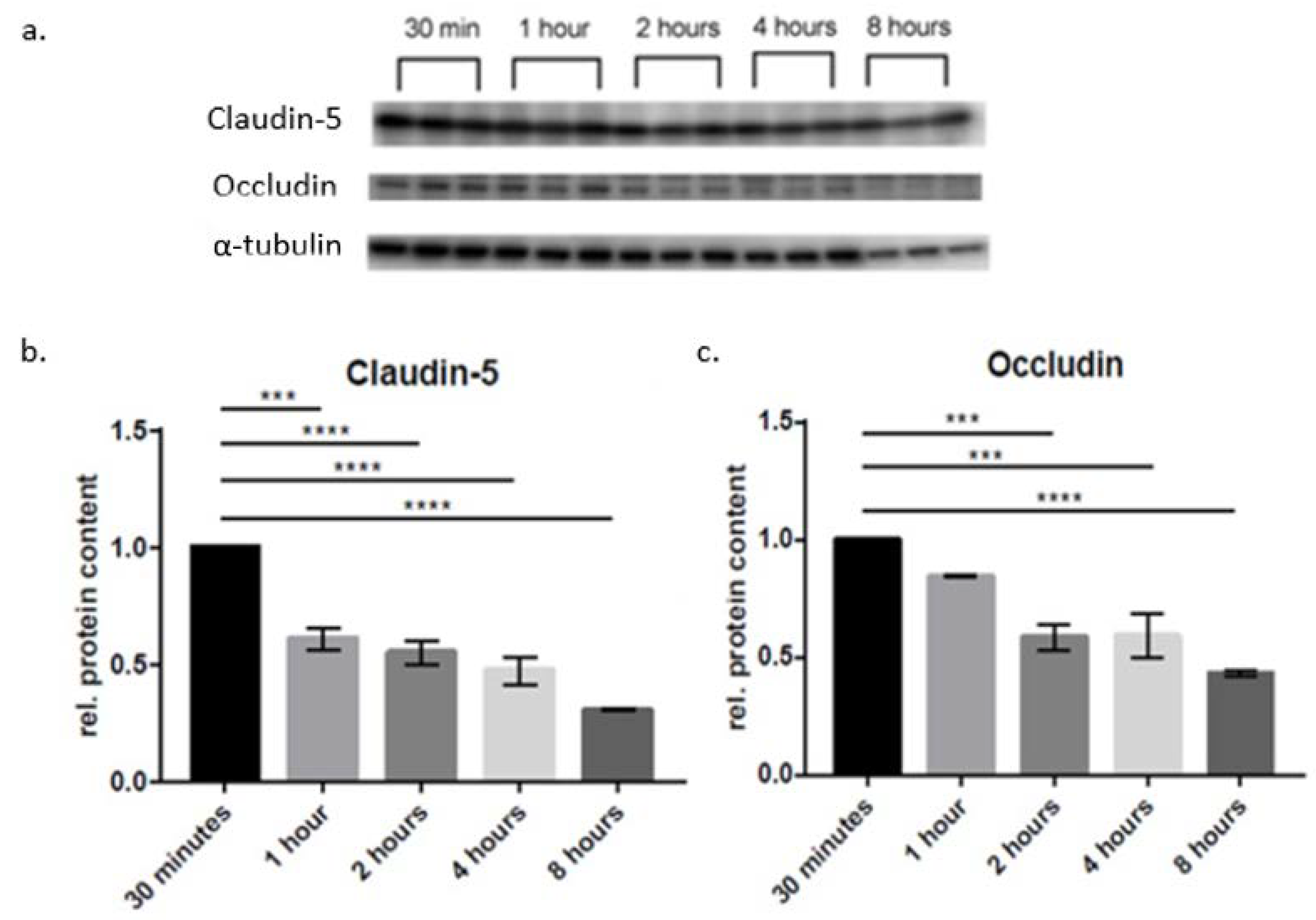 Ijms 23 11557 g002 Ijms 23 11557 g002