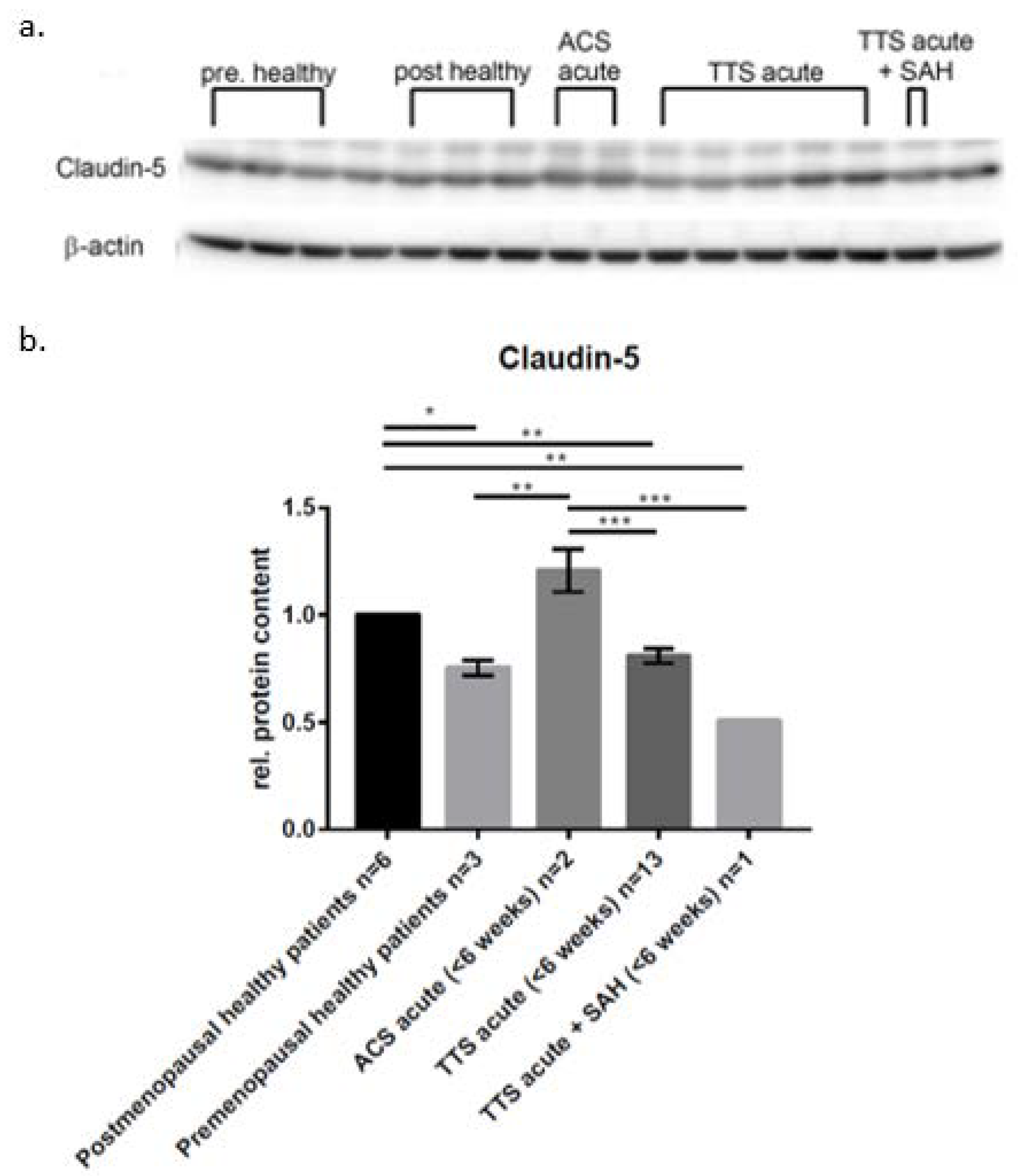 Ijms 23 11557 g003 Ijms 23 11557 g003