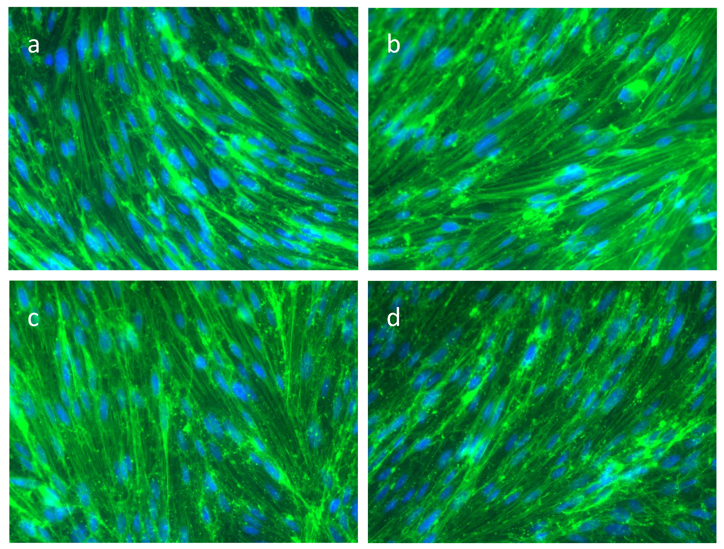 Ijms 23 11557 g004 Ijms 23 11557 g004