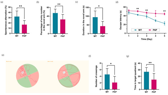 IJMS | Free Full-Text | Comparative Metagenomics and Metabolomes Reveals  Abnormal Metabolism Activity Is Associated with Gut Microbiota in  Alzheimer&rsquo;s Disease Mice