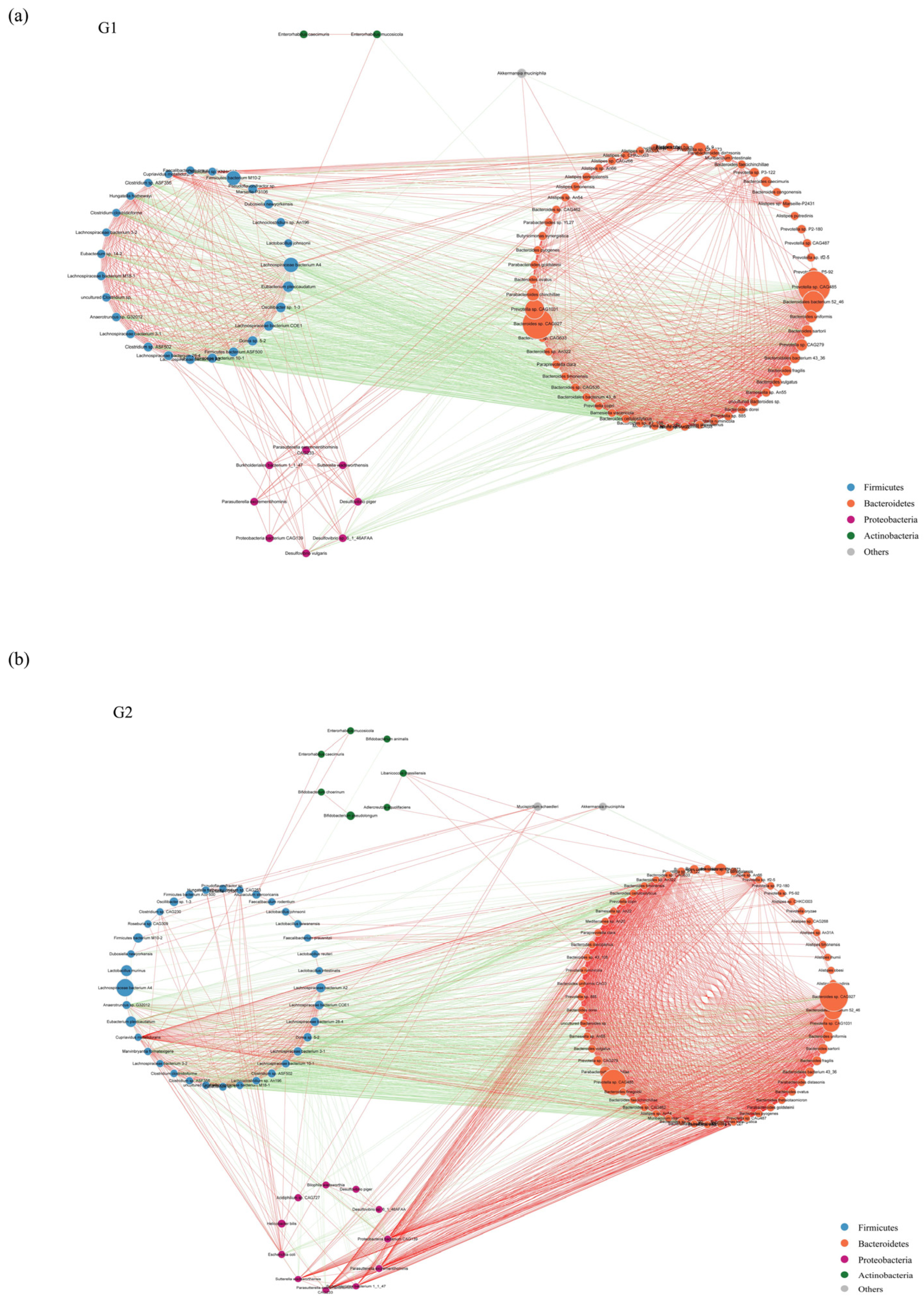 Ijms 23 11560 g004 Ijms 23 11560 g004