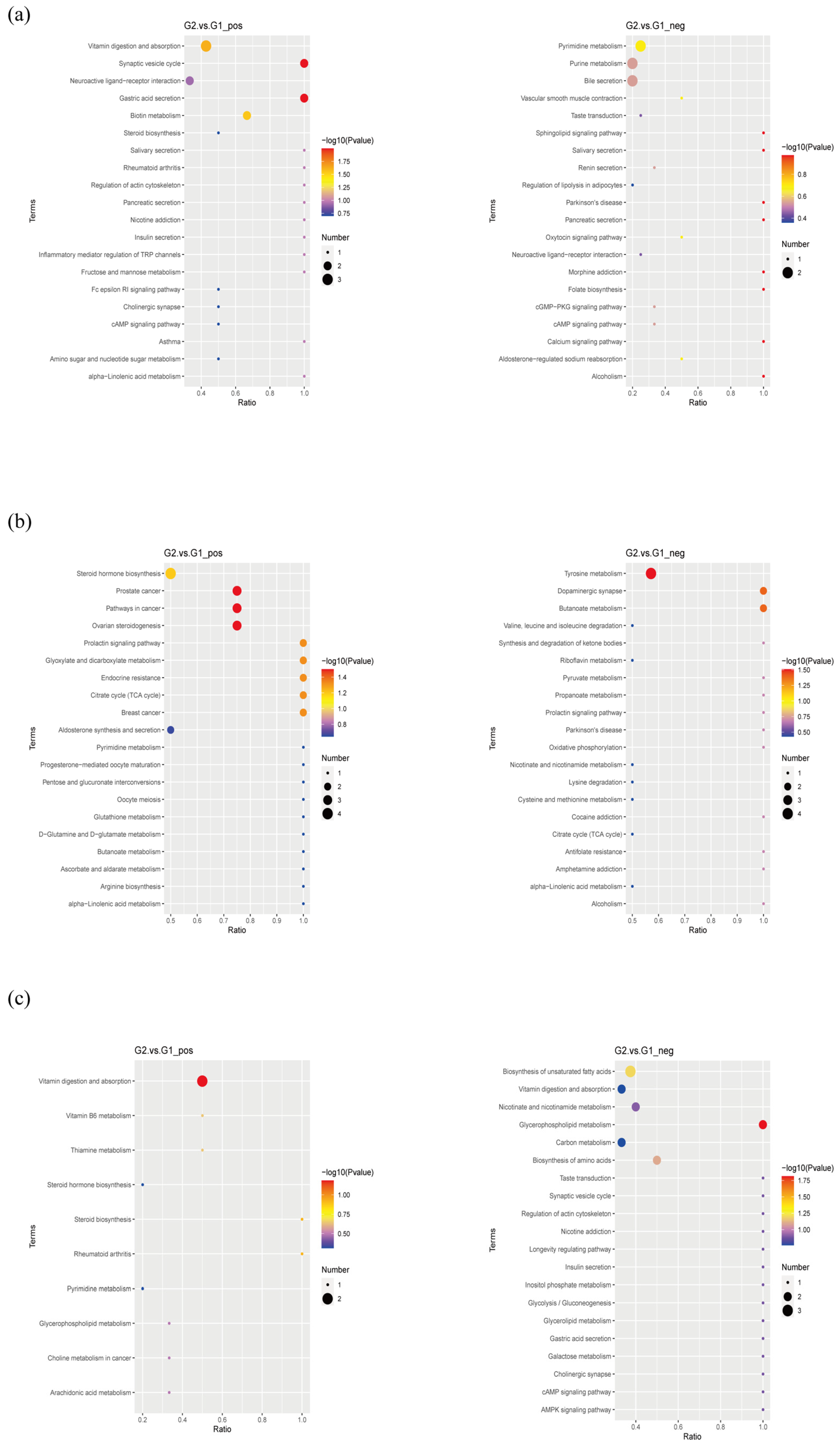 Ijms 23 11560 g007 Ijms 23 11560 g007