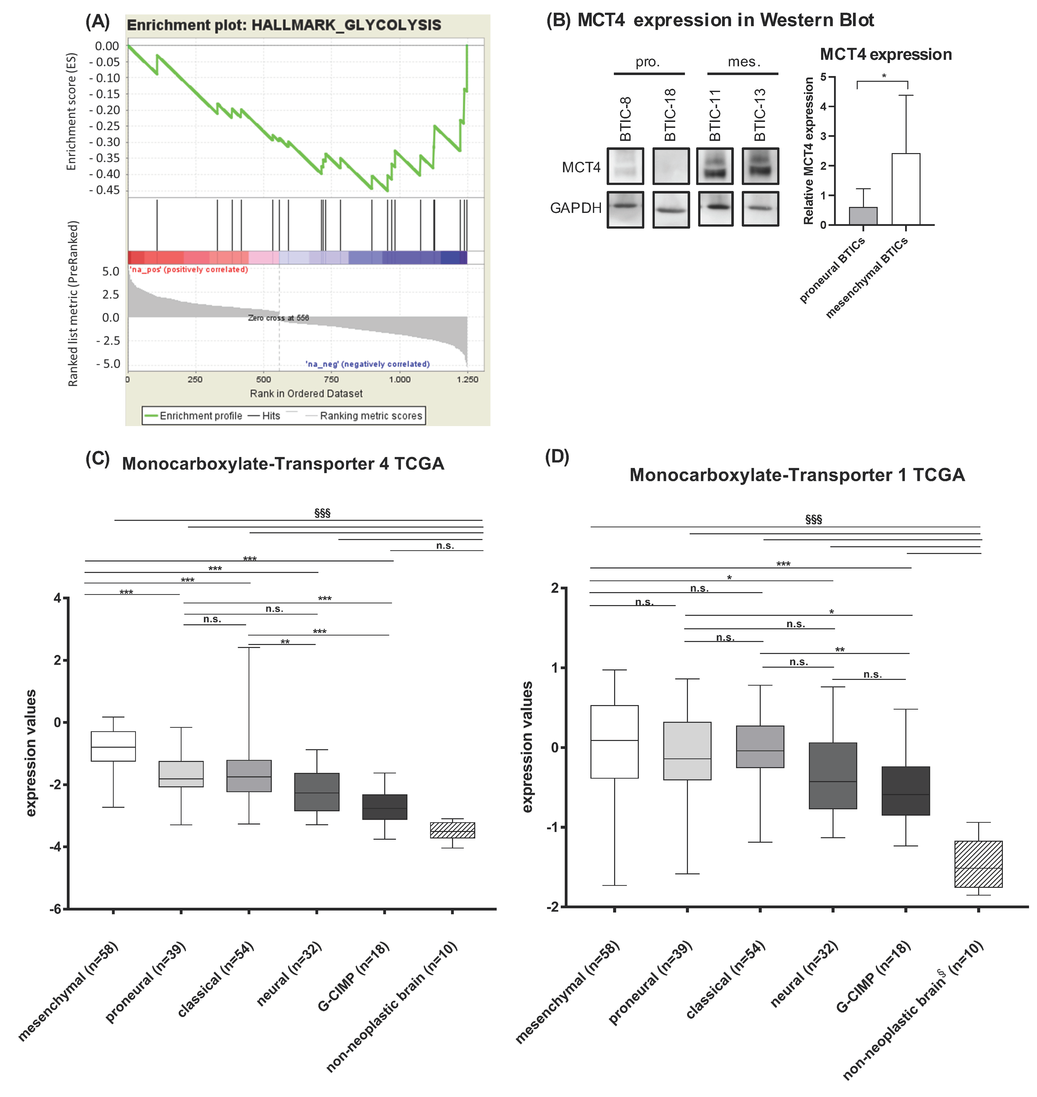 Ijms 23 11629 g005 Ijms 23 11629 g005