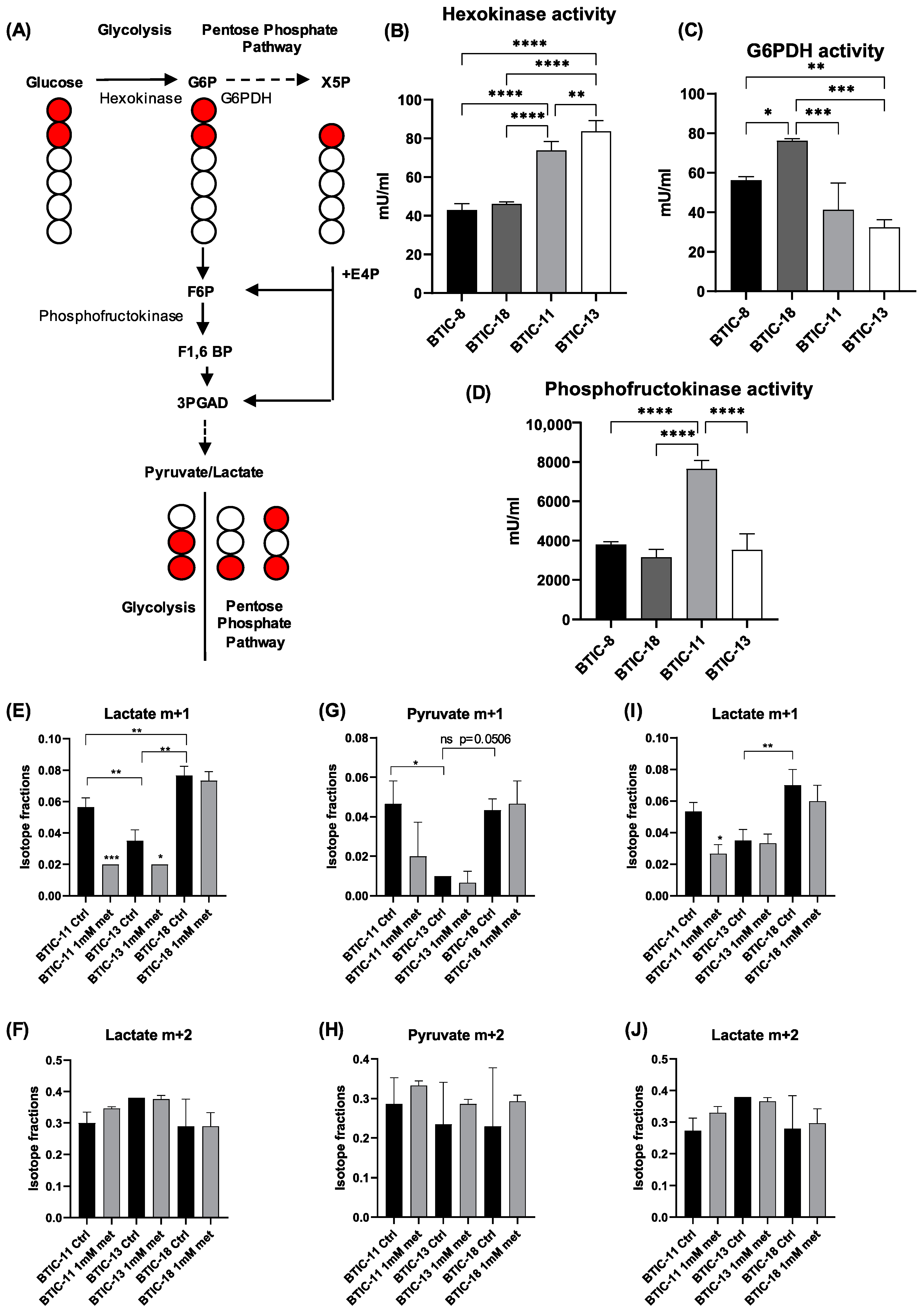 Ijms 23 11629 g006 Ijms 23 11629 g006
