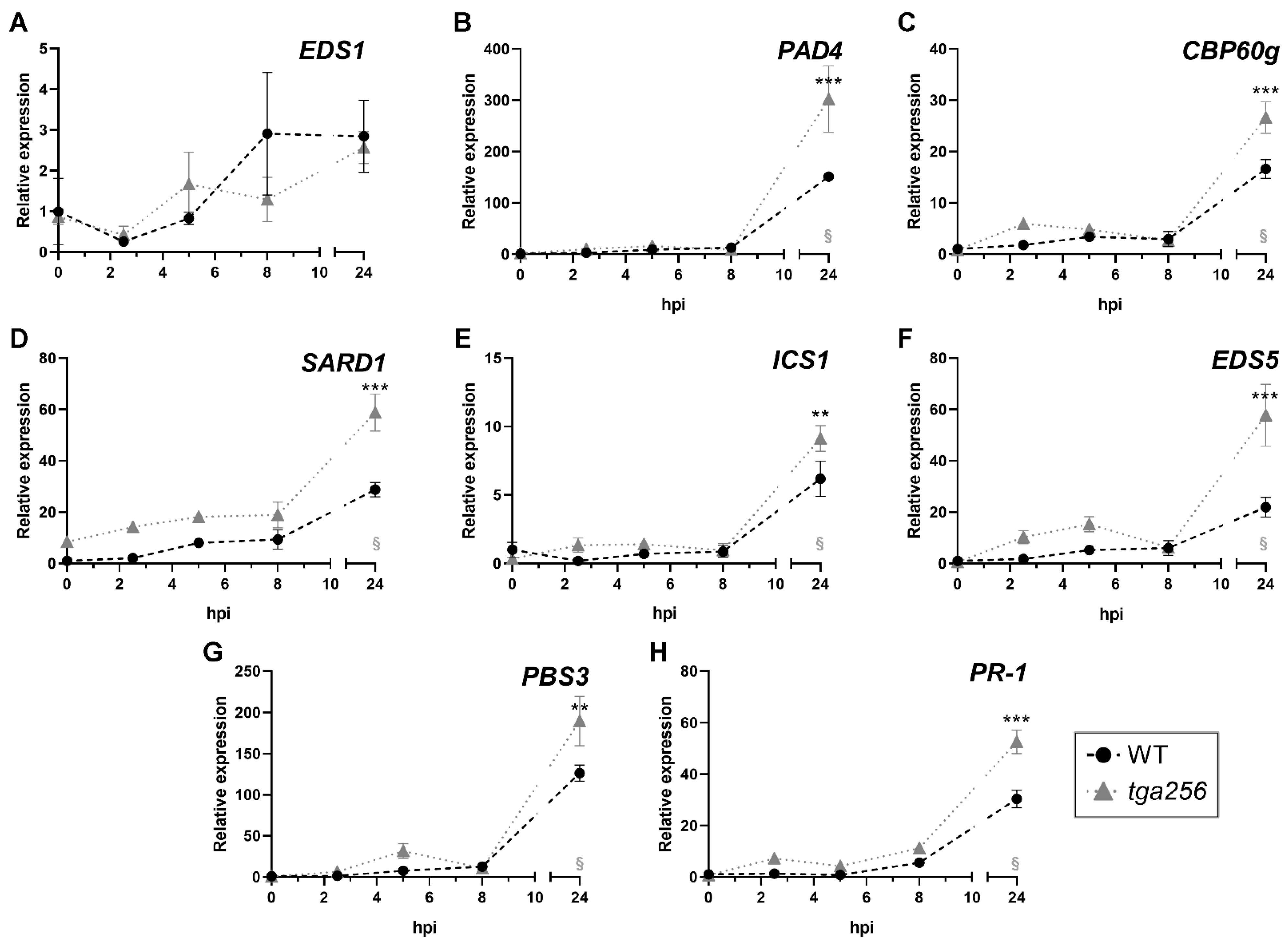 Ijms 23 11631 g004 Ijms 23 11631 g004