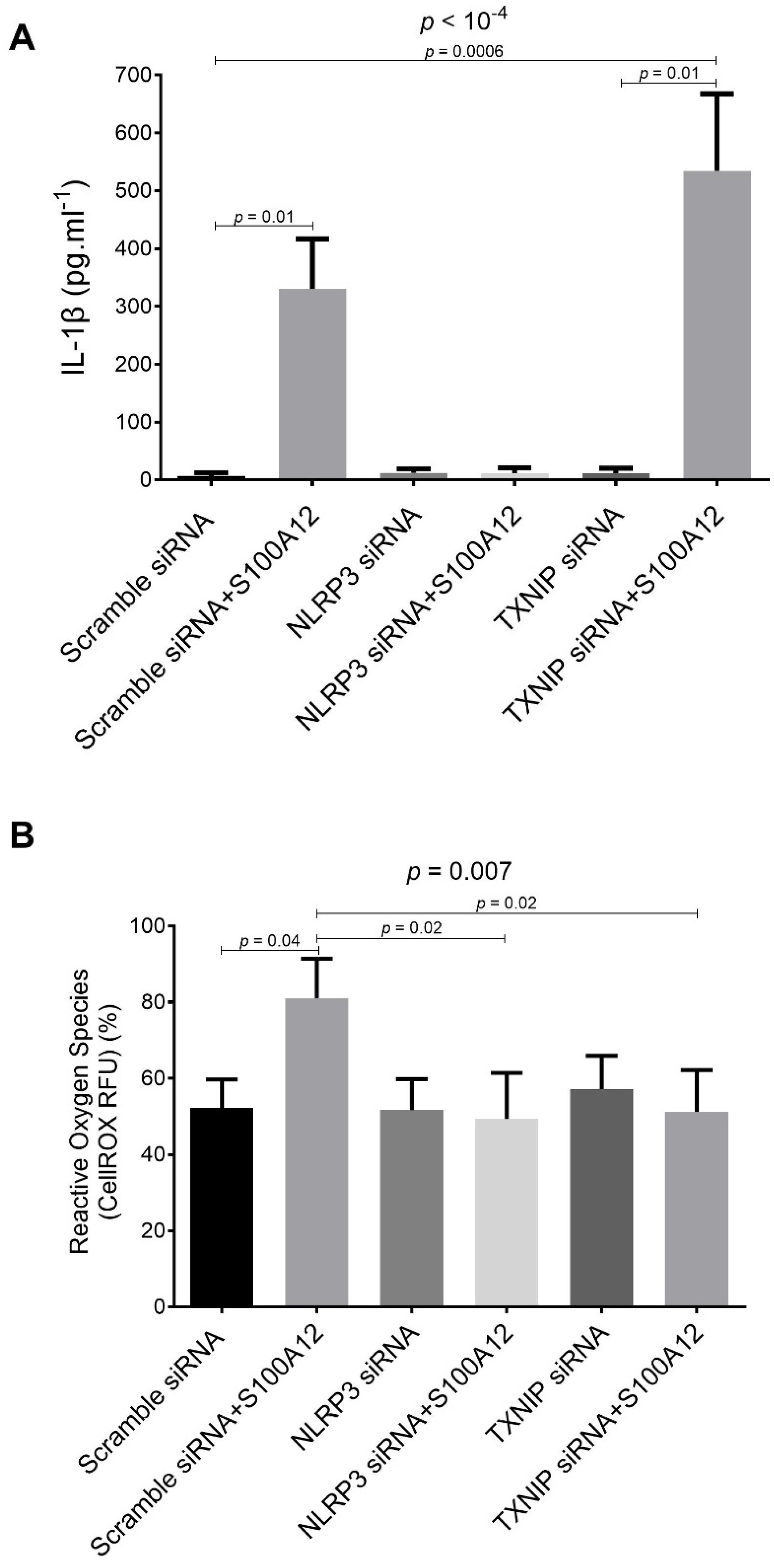 Ijms 23 11659 g003 Ijms 23 11659 g003