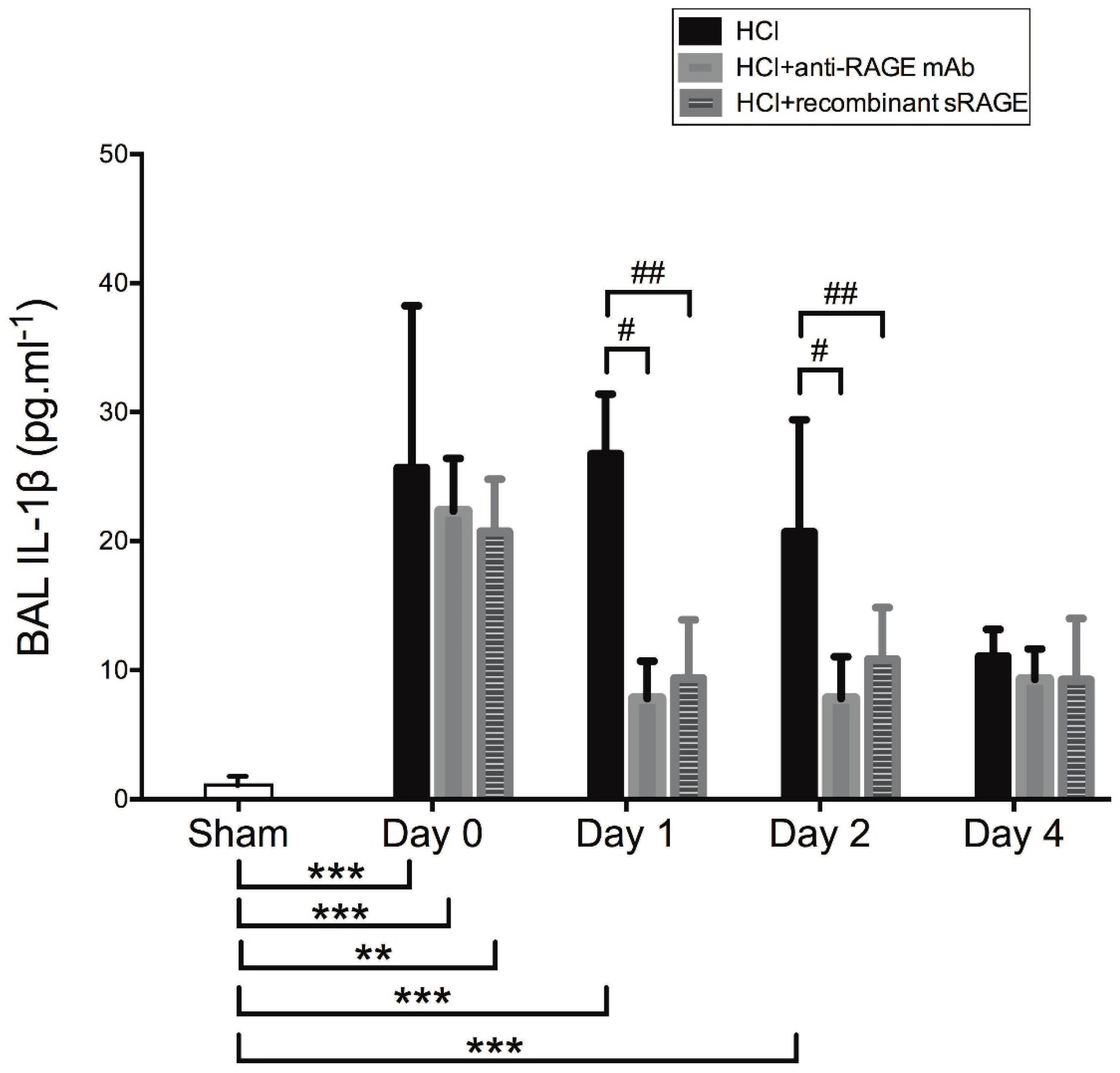 Ijms 23 11659 g005 Ijms 23 11659 g005