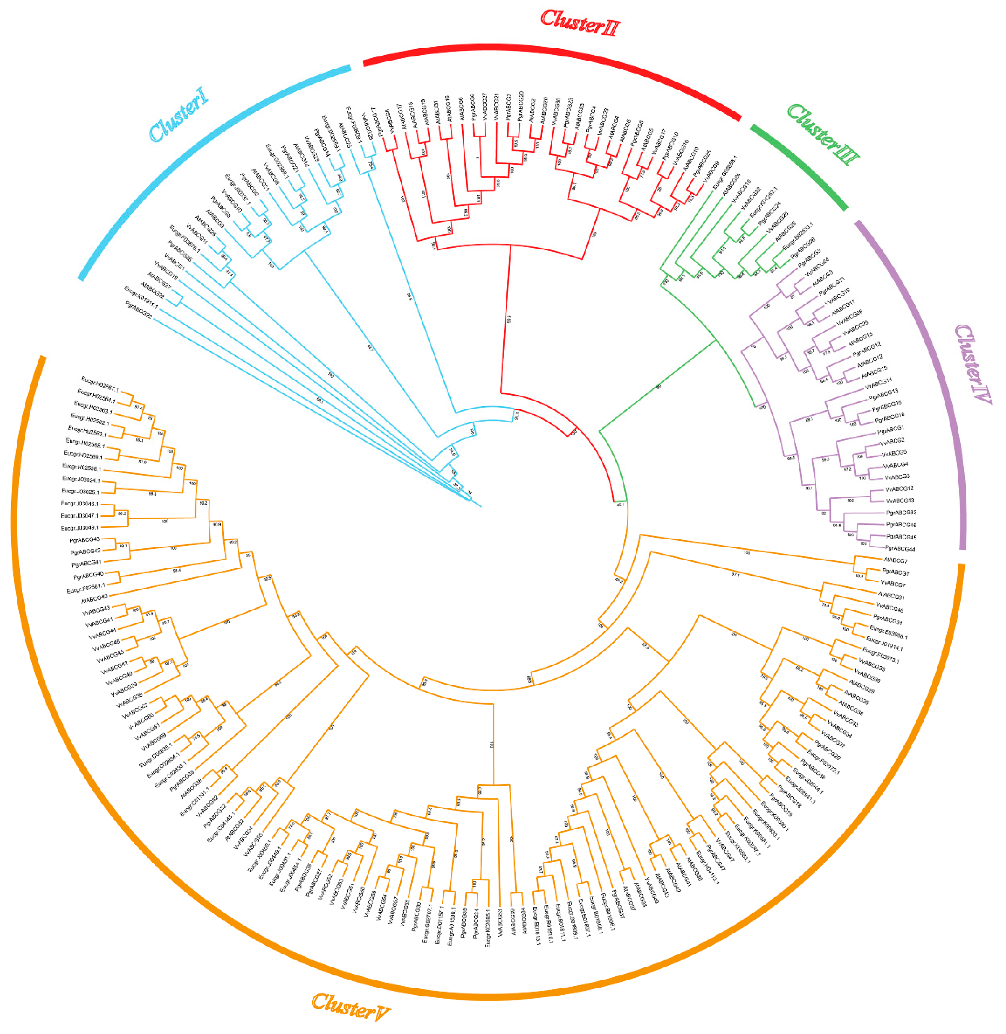 Ijms 23 11661 g001 Ijms 23 11661 g001