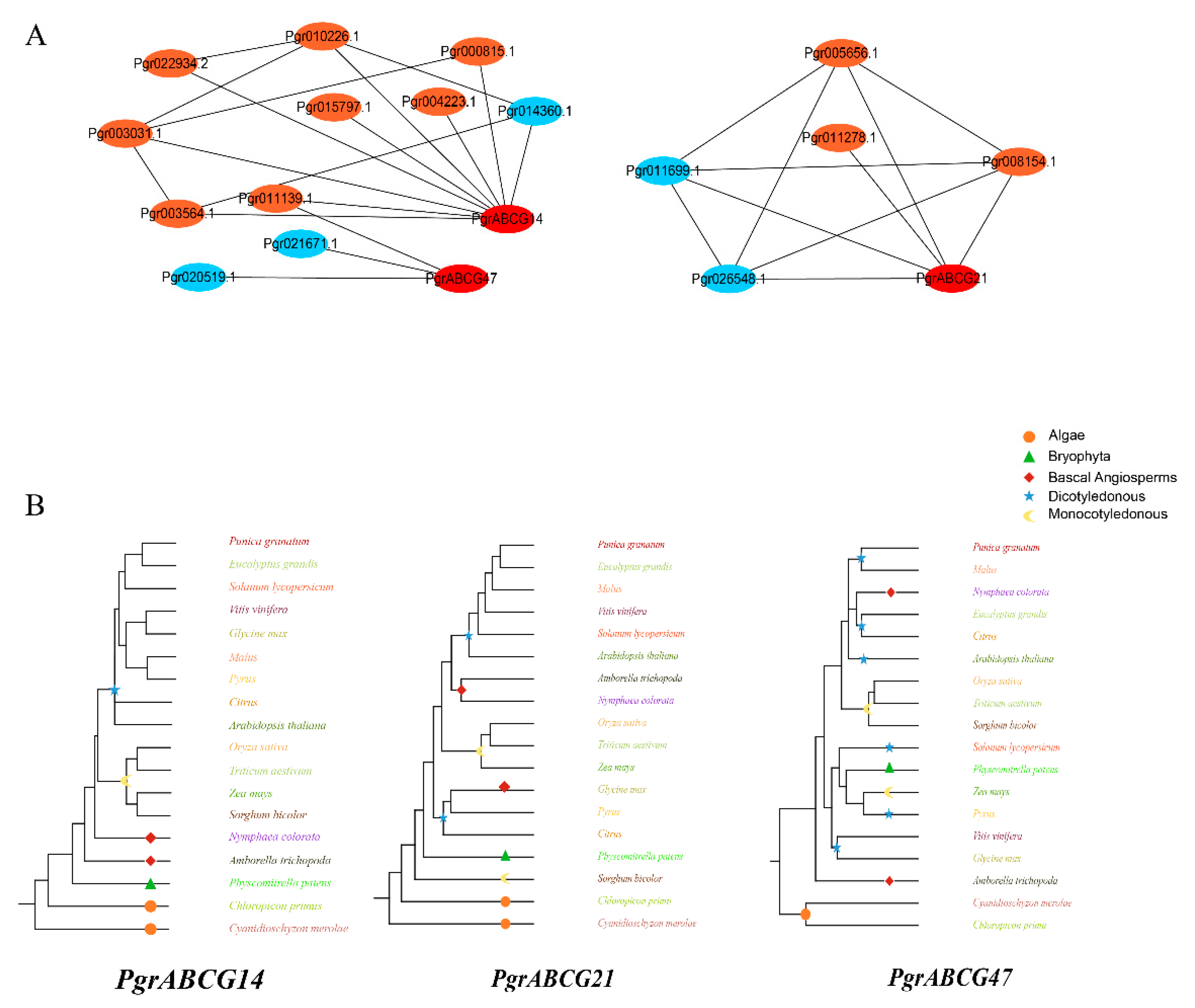 Ijms 23 11661 g004 Ijms 23 11661 g004