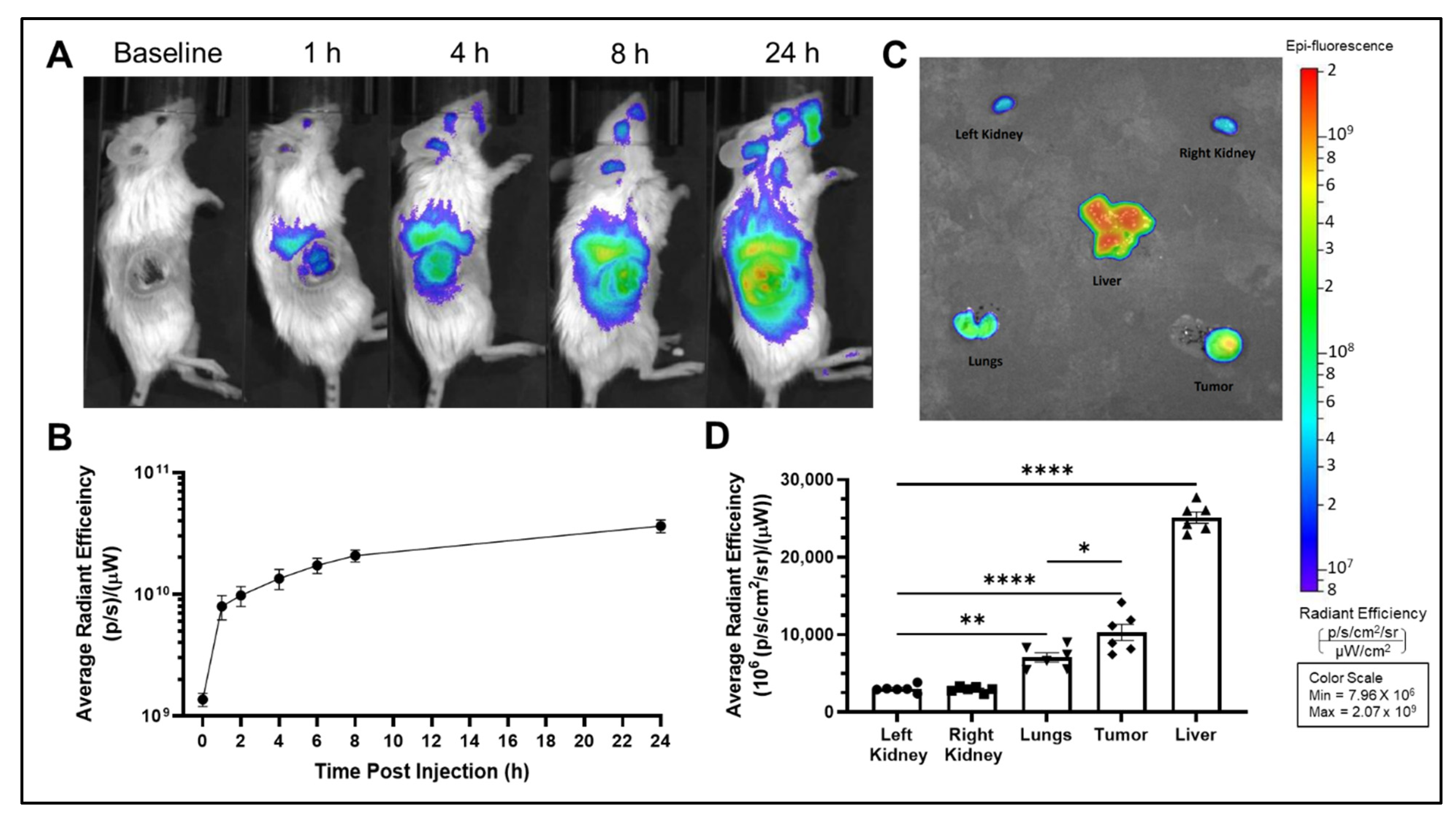 Ijms 23 11662 g003 Ijms 23 11662 g003