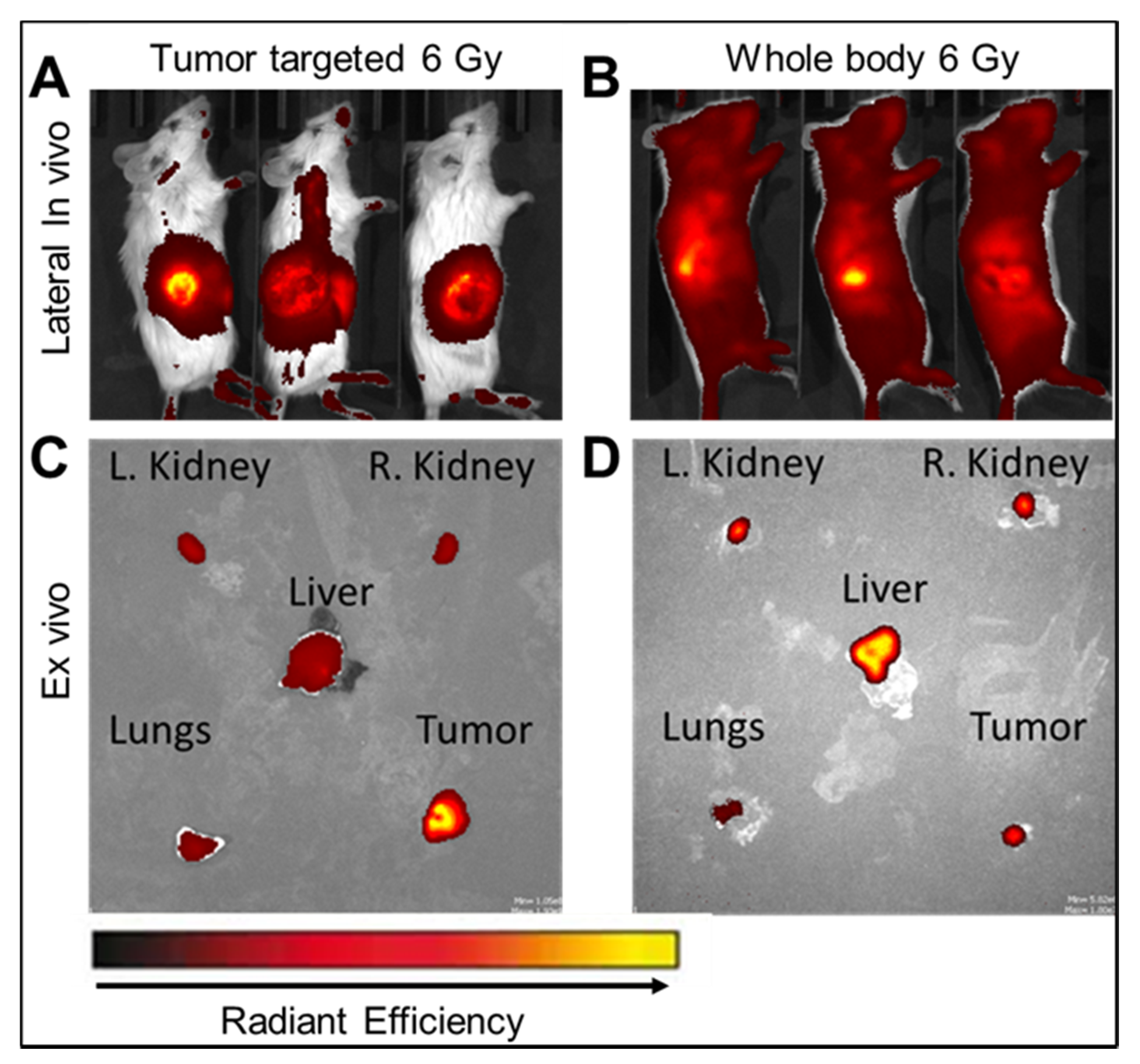 Ijms 23 11662 g005 Ijms 23 11662 g005