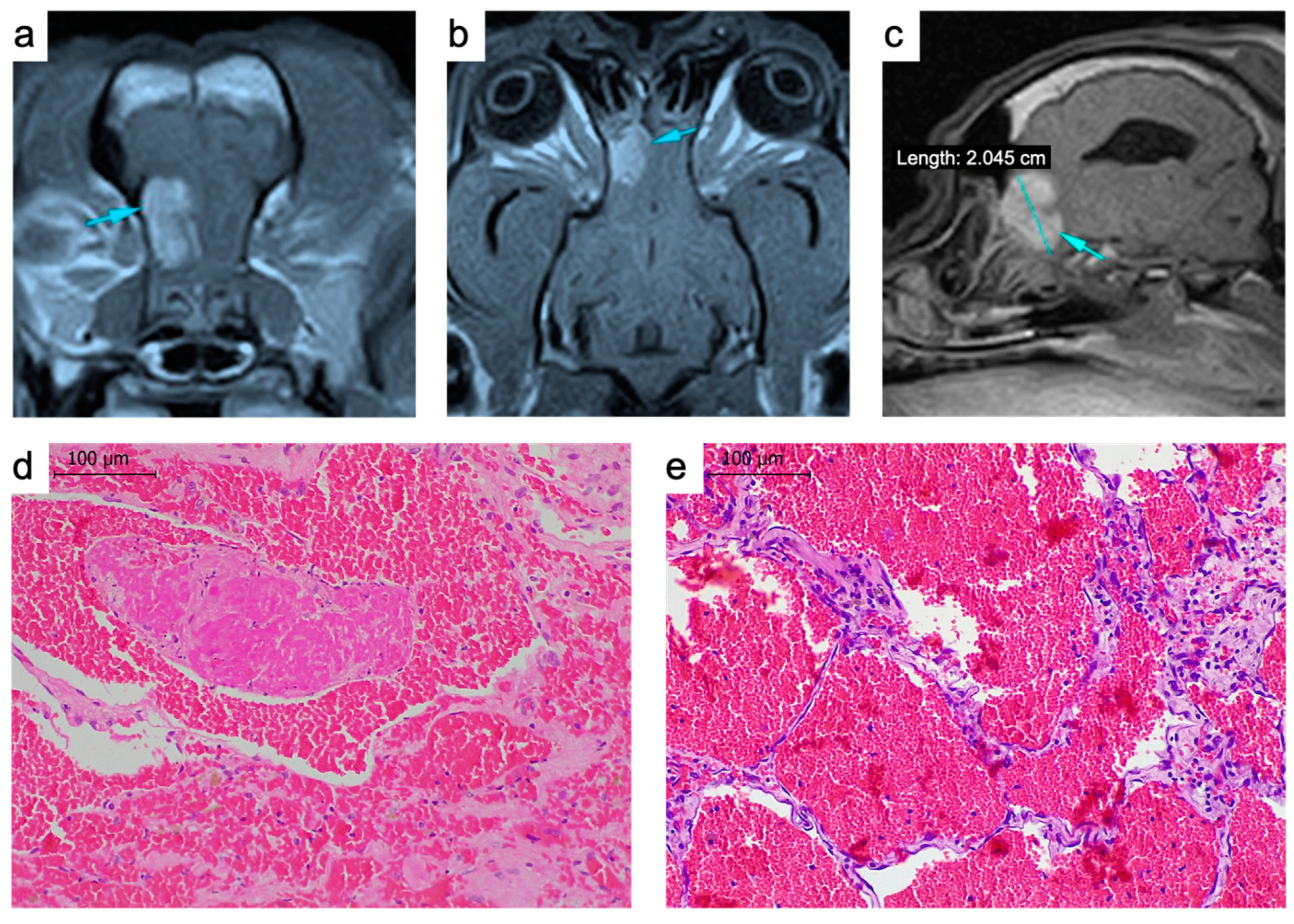 Ijms 23 11677 g001 Ijms 23 11677 g001