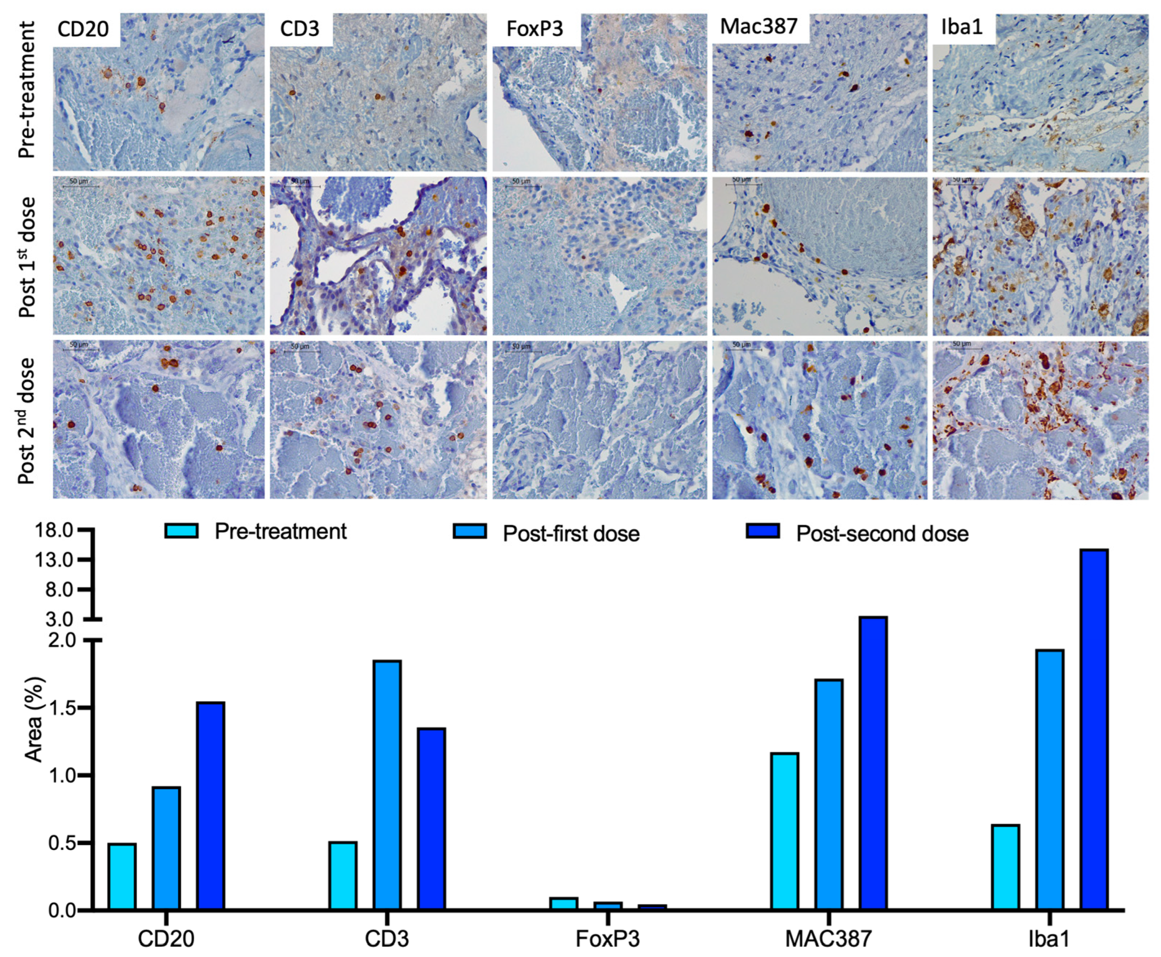 Ijms 23 11677 g004 Ijms 23 11677 g004