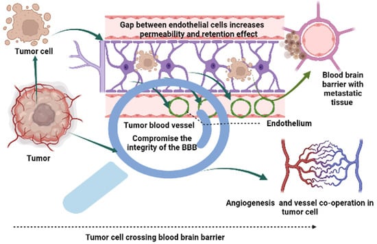 IJMS | Free Full-Text | An Insight Into Molecular Targets Of Breast ...