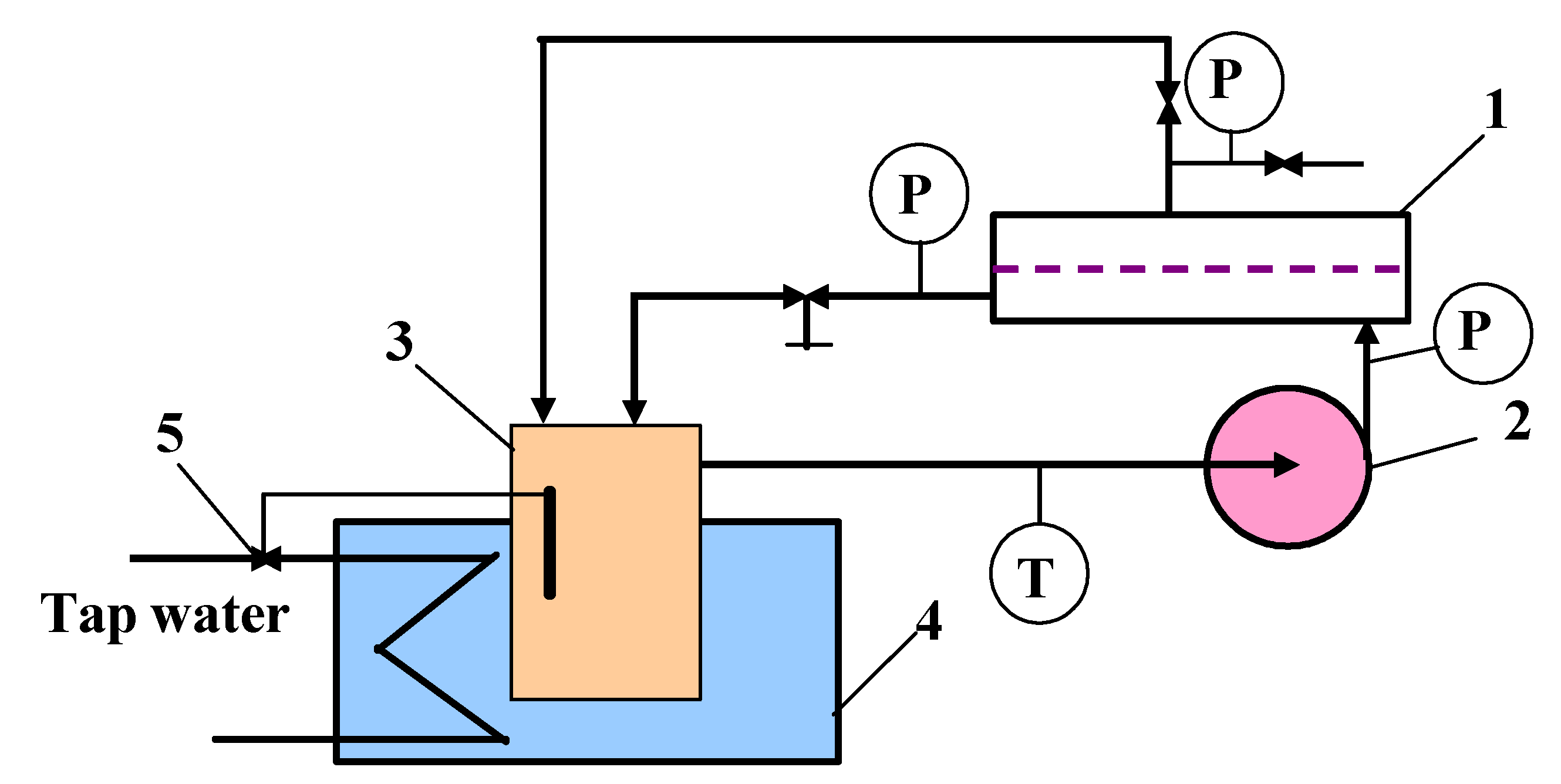 Ijms 23 11738 g011 Ijms 23 11738 g011