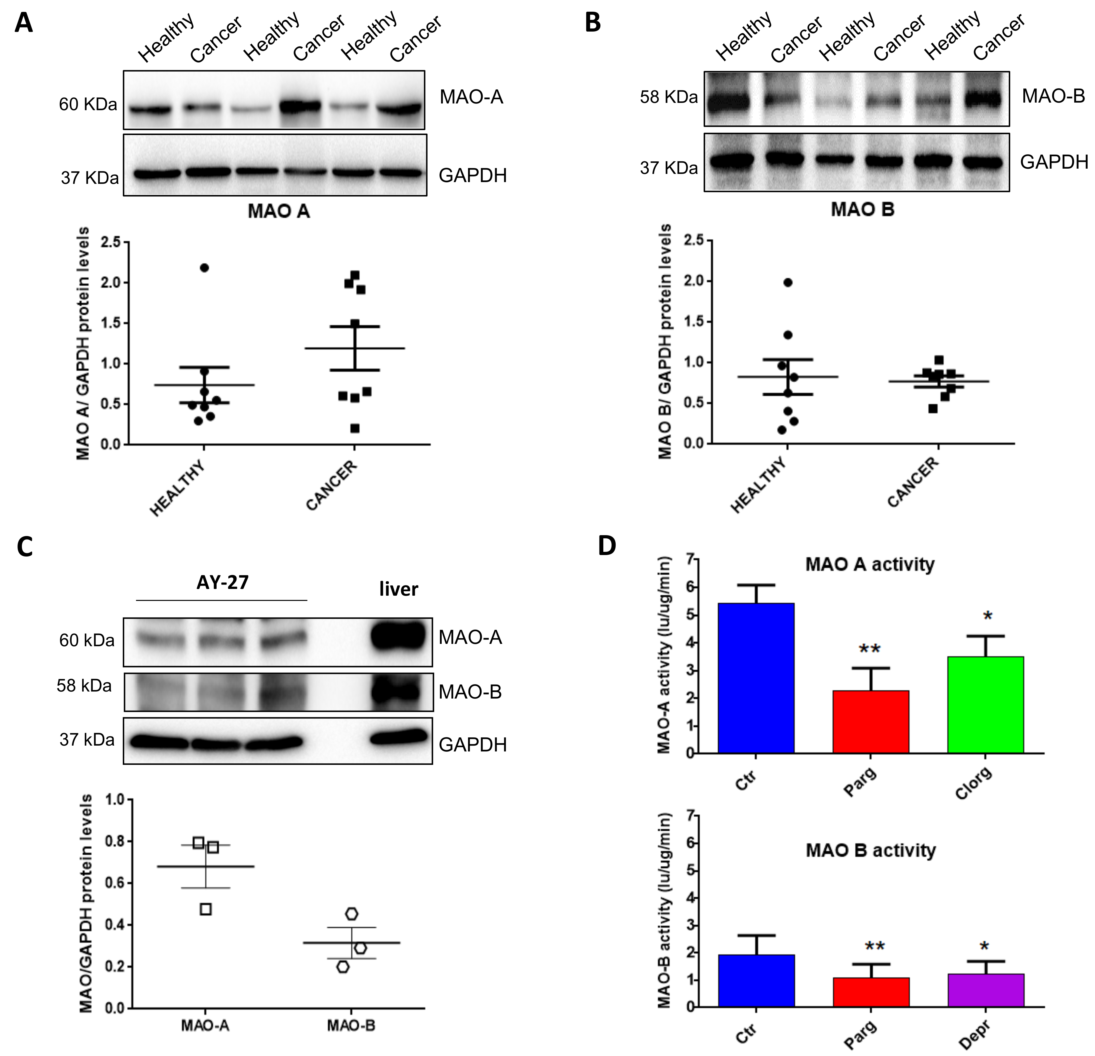 Ijms 23 11747 g001 Ijms 23 11747 g001