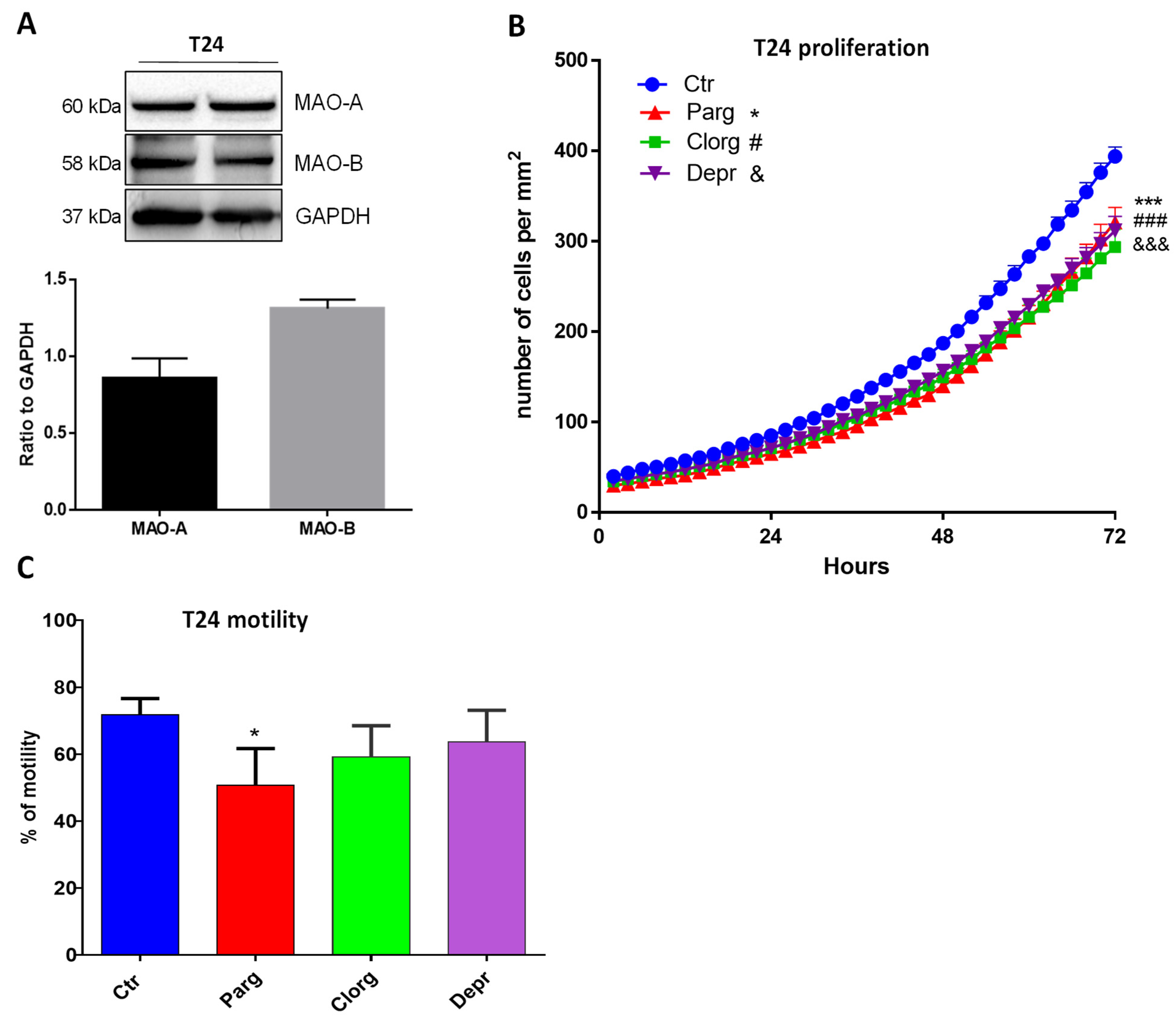 Ijms 23 11747 g003 Ijms 23 11747 g003