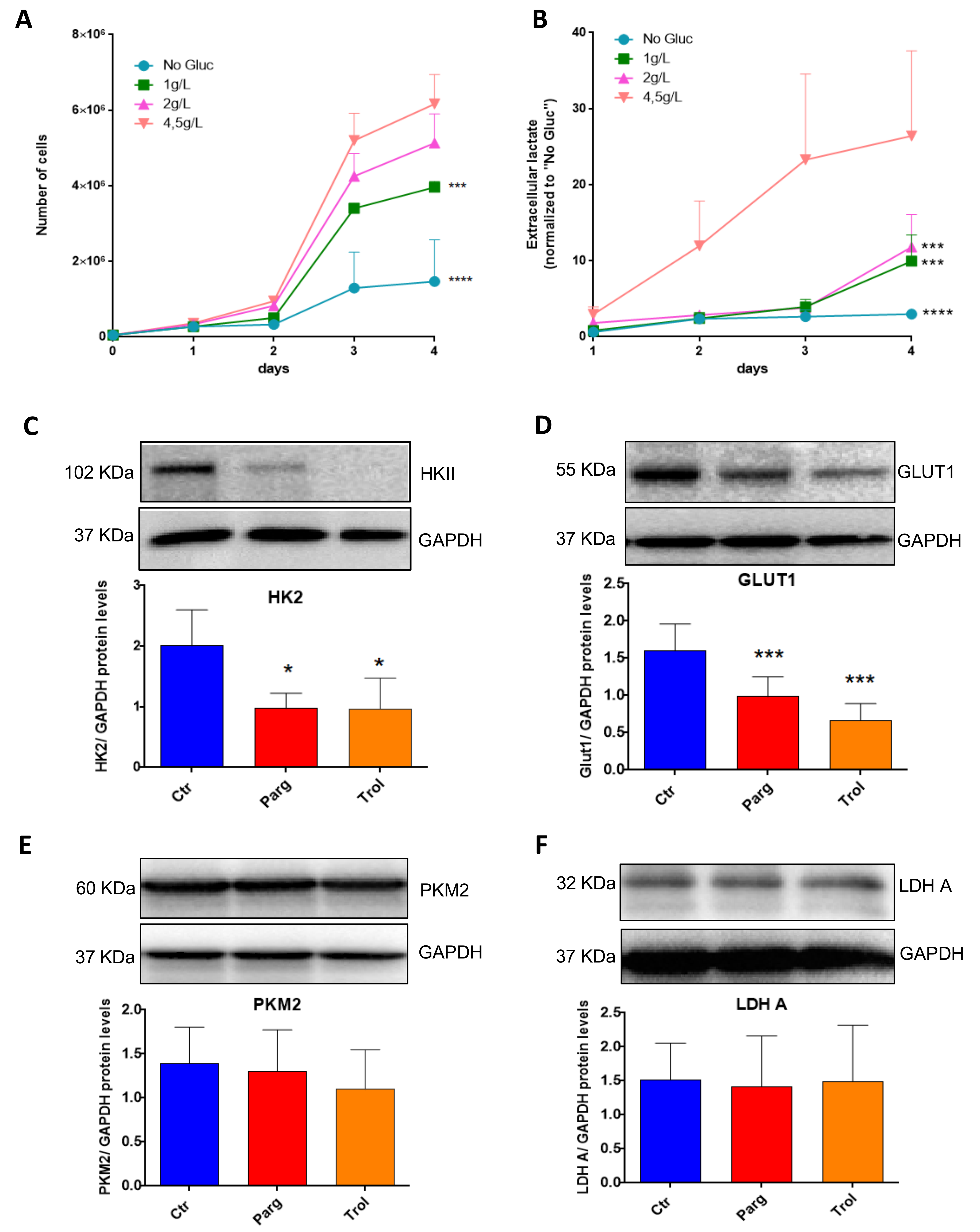 Ijms 23 11747 g007 Ijms 23 11747 g007