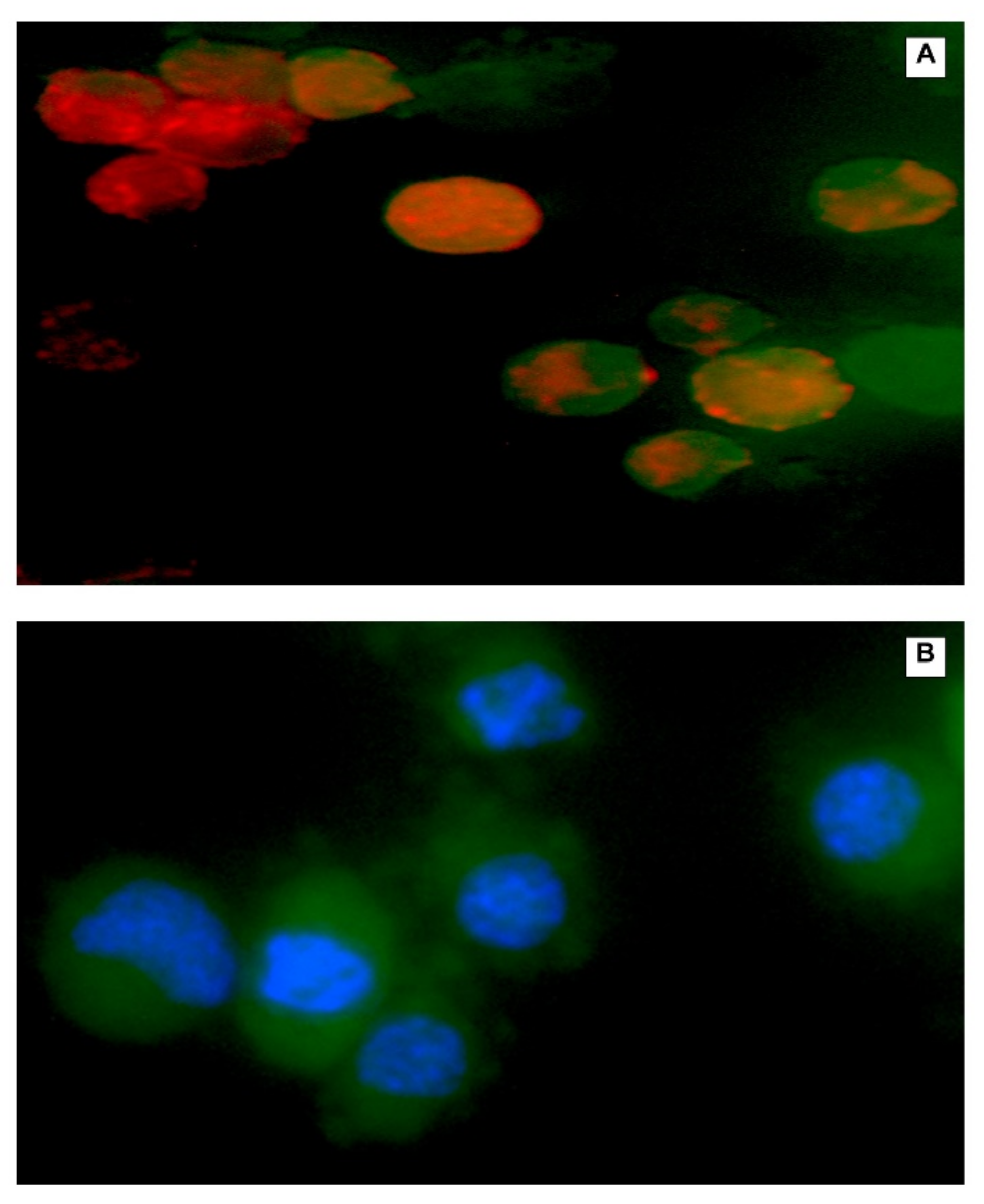 Ijms 23 11763 g007 Ijms 23 11763 g007