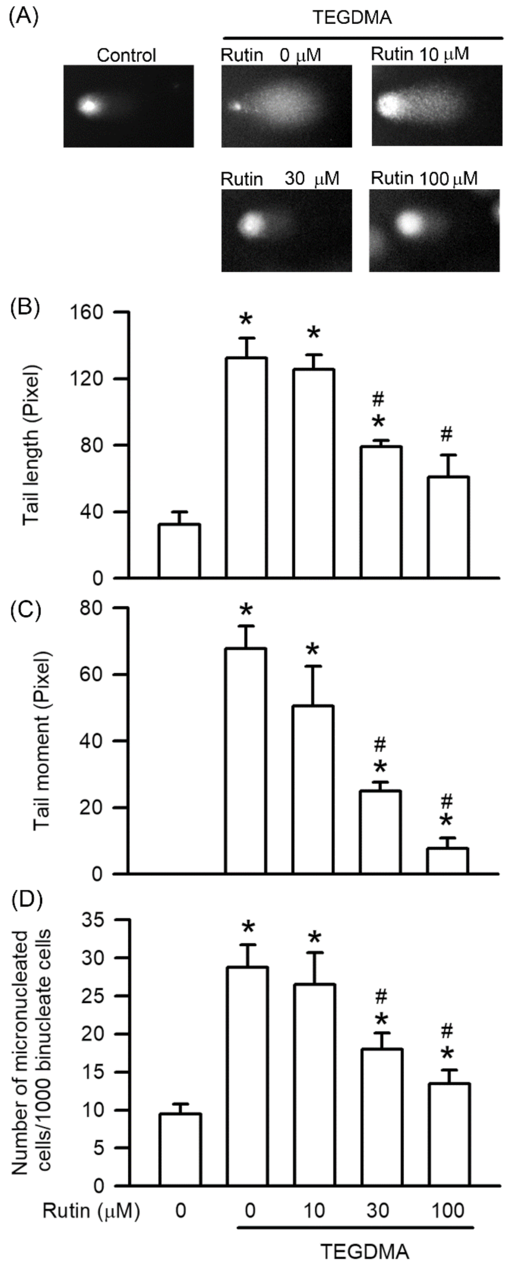 Ijms 23 11773 g003 Ijms 23 11773 g003