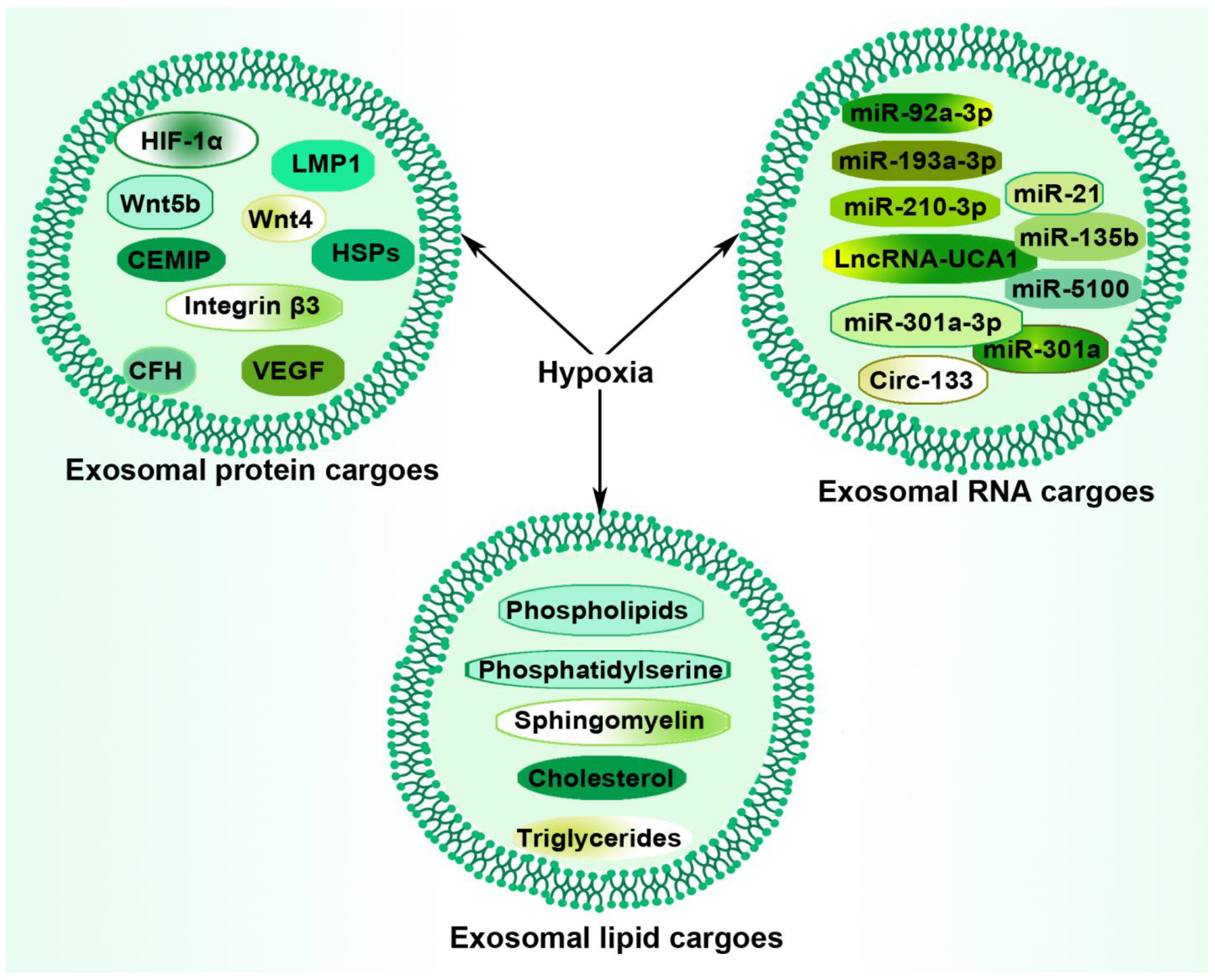 Ijms 23 11789 g002 Ijms 23 11789 g002