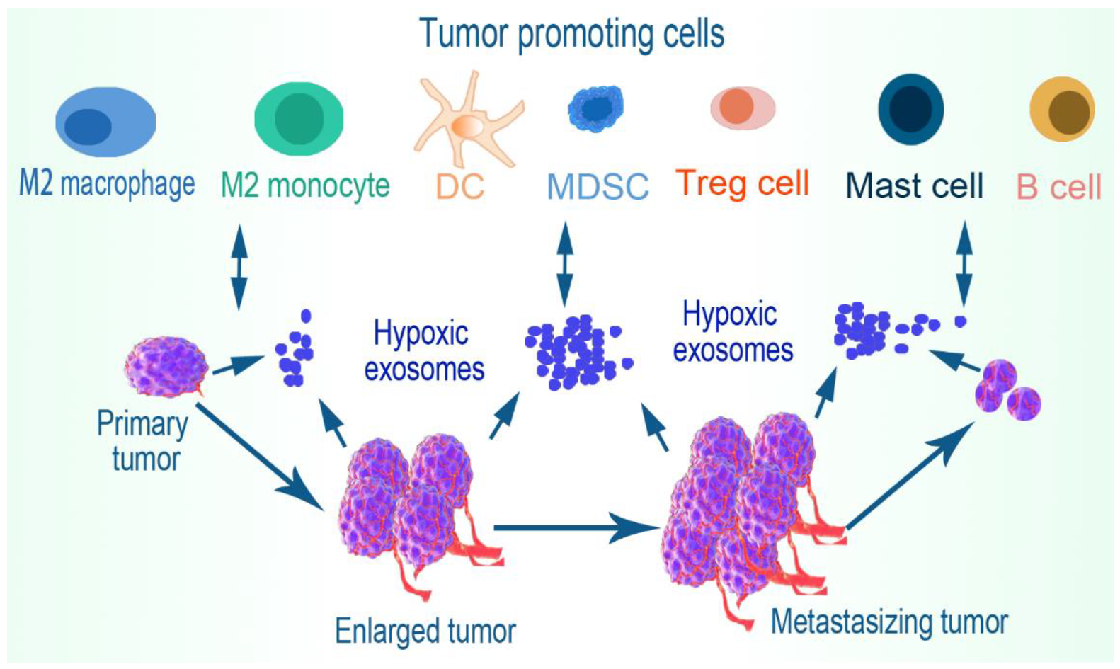 Ijms 23 11789 g003 Ijms 23 11789 g003