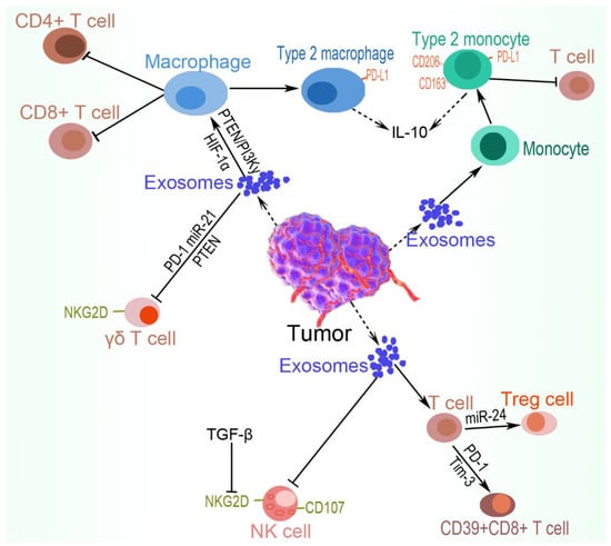 IJMS | Free Full-Text | Hypoxia-Regulated Tumor-Derived Exosomes and ...