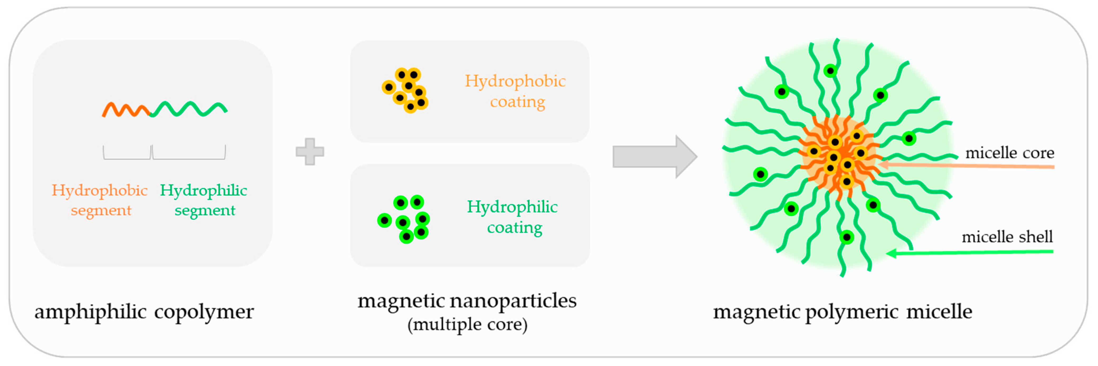 IJMS | Free Full-Text | Magnetic Micellar Nanovehicles: Prospects of  Multifunctional Hybrid Systems for Precision Theranostics