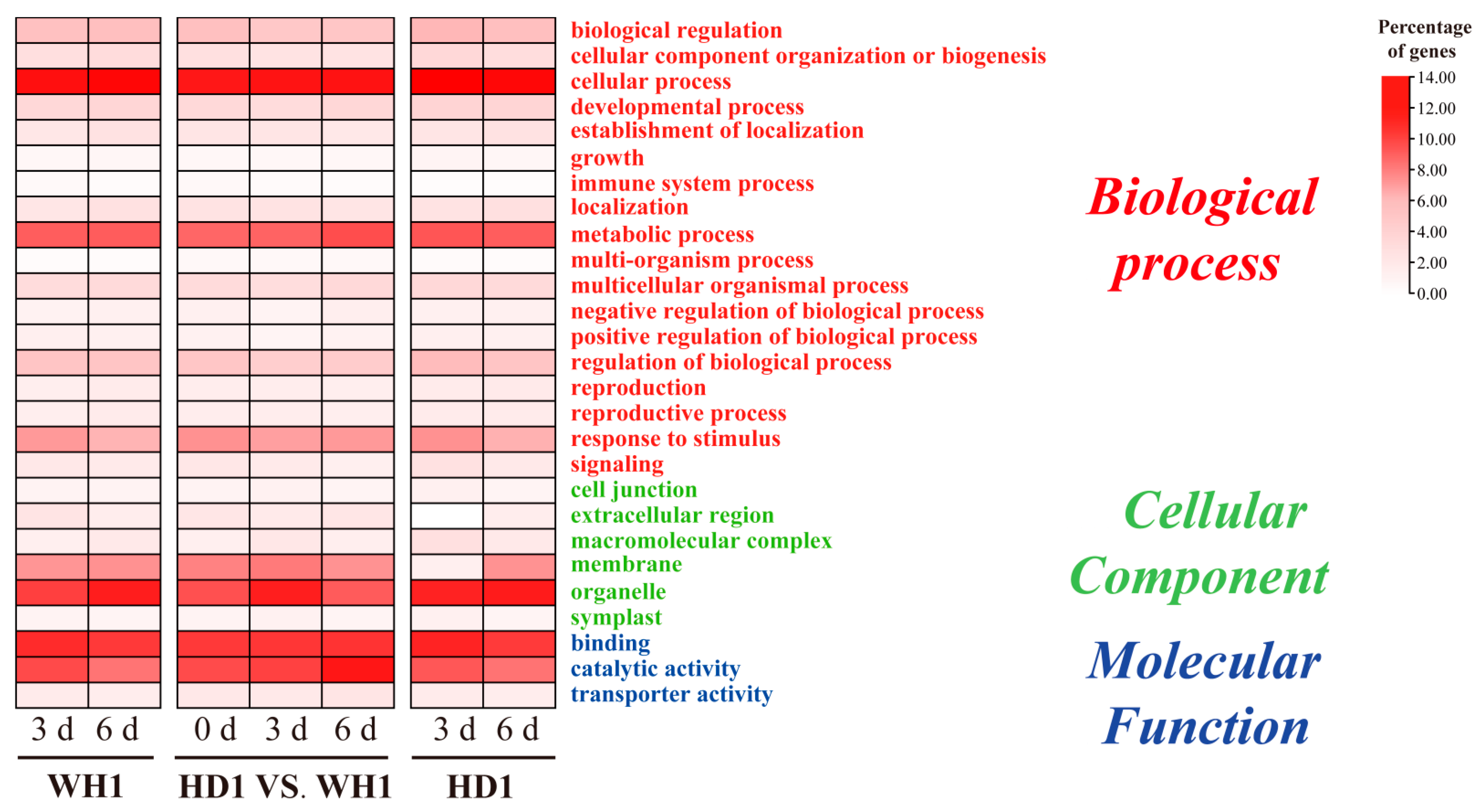 Ijms 23 11801 g004 Ijms 23 11801 g004