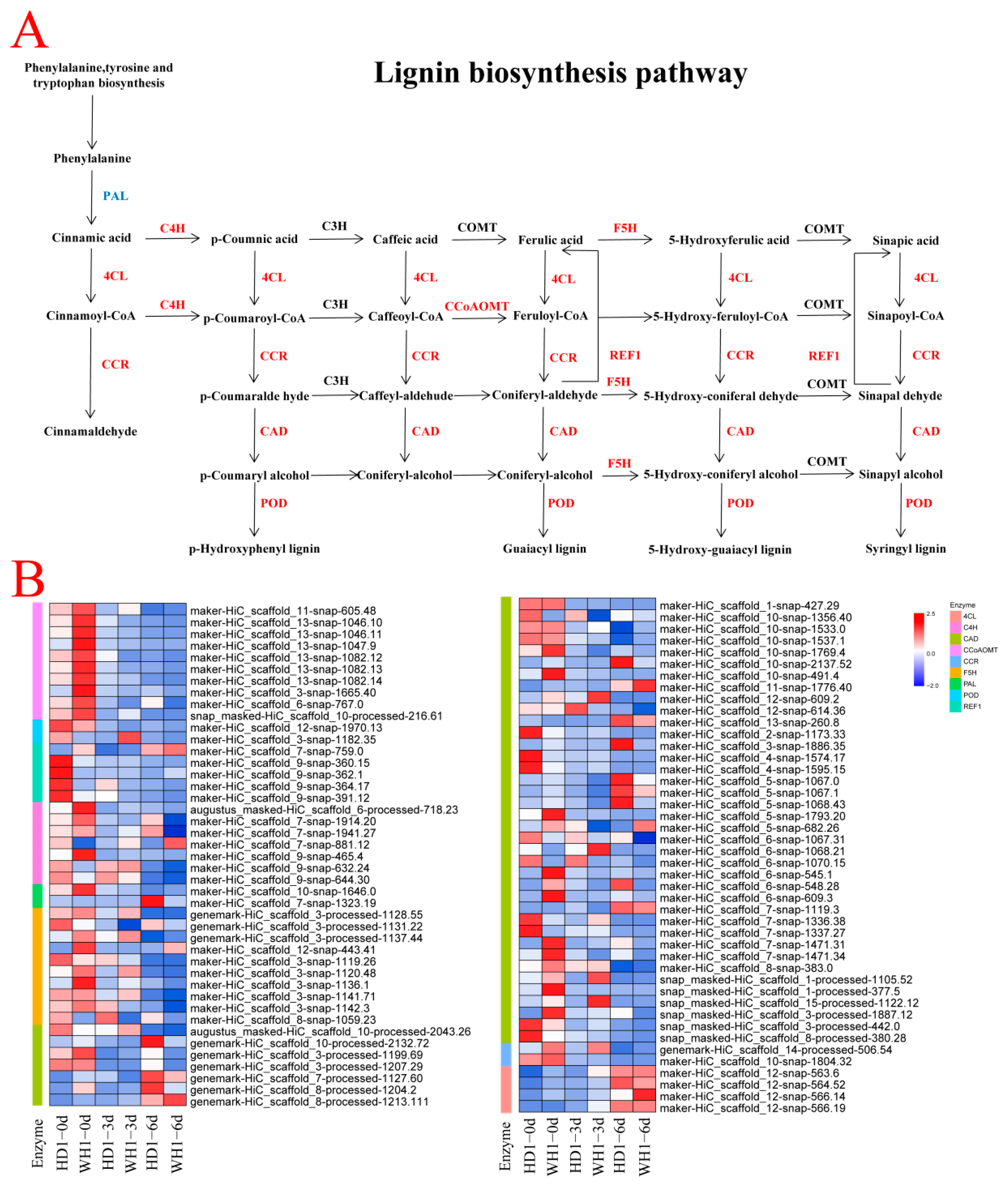 Ijms 23 11801 g006 Ijms 23 11801 g006