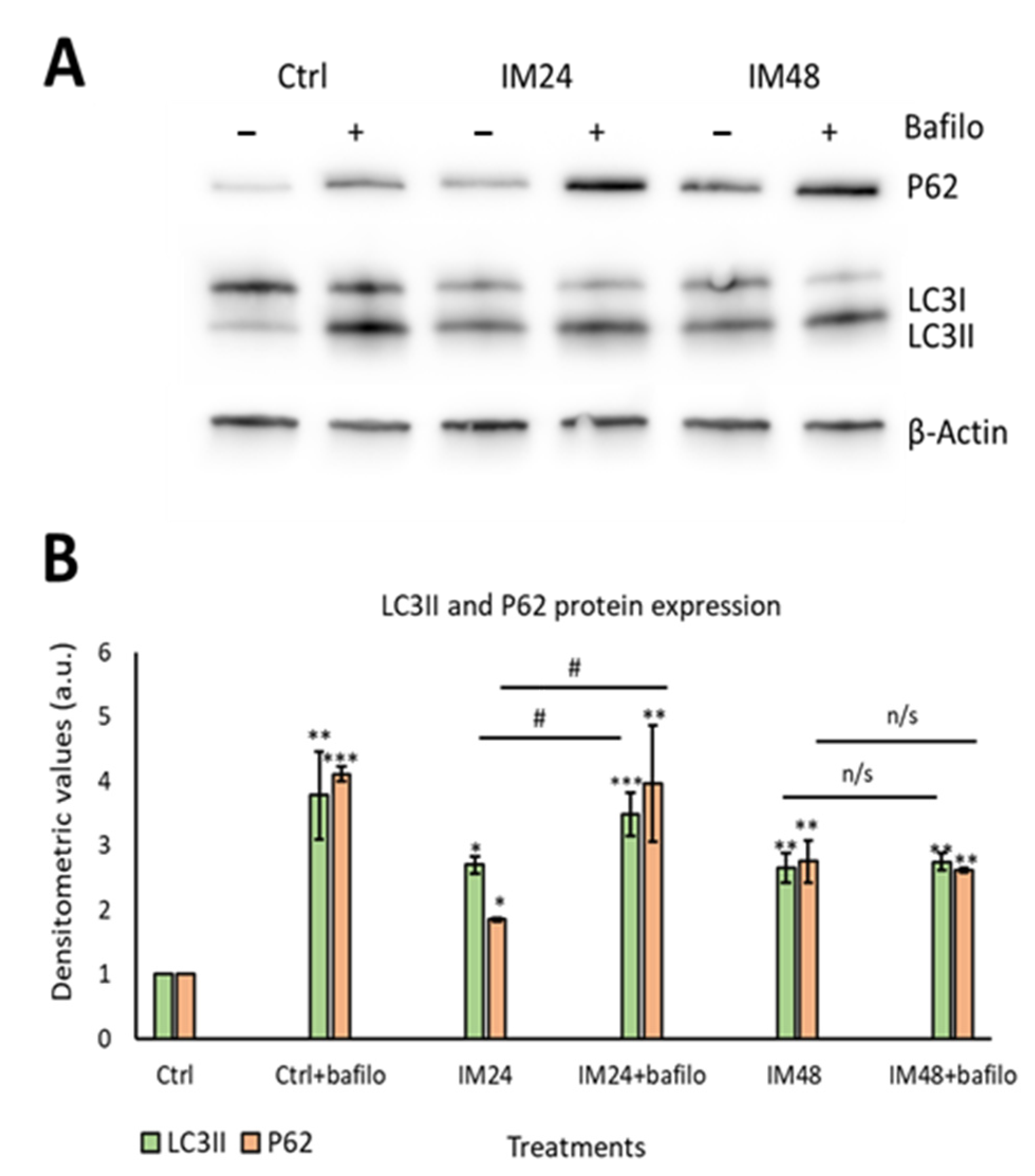 Ijms 23 11812 g004 Ijms 23 11812 g004