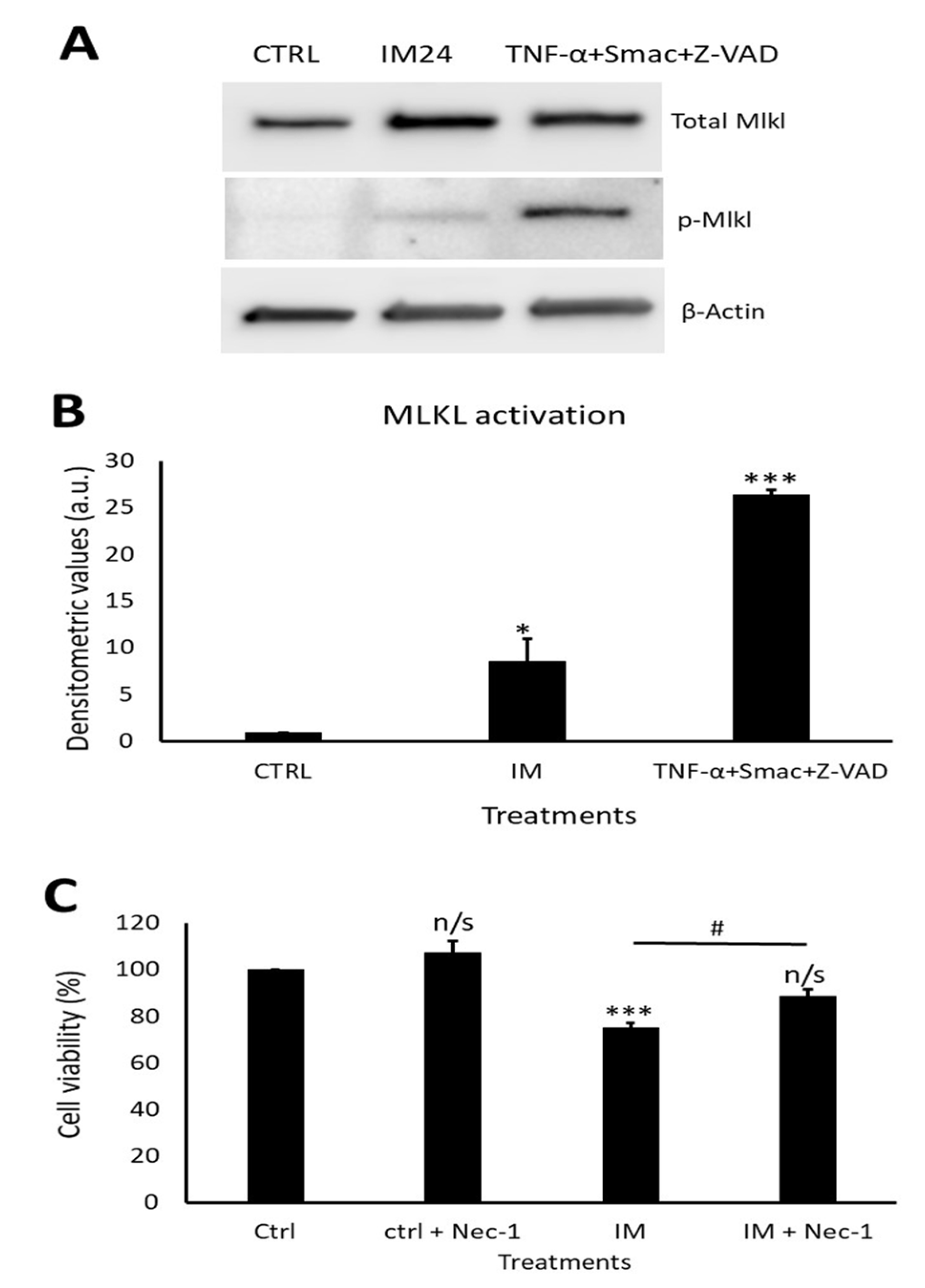 Ijms 23 11812 g007 Ijms 23 11812 g007