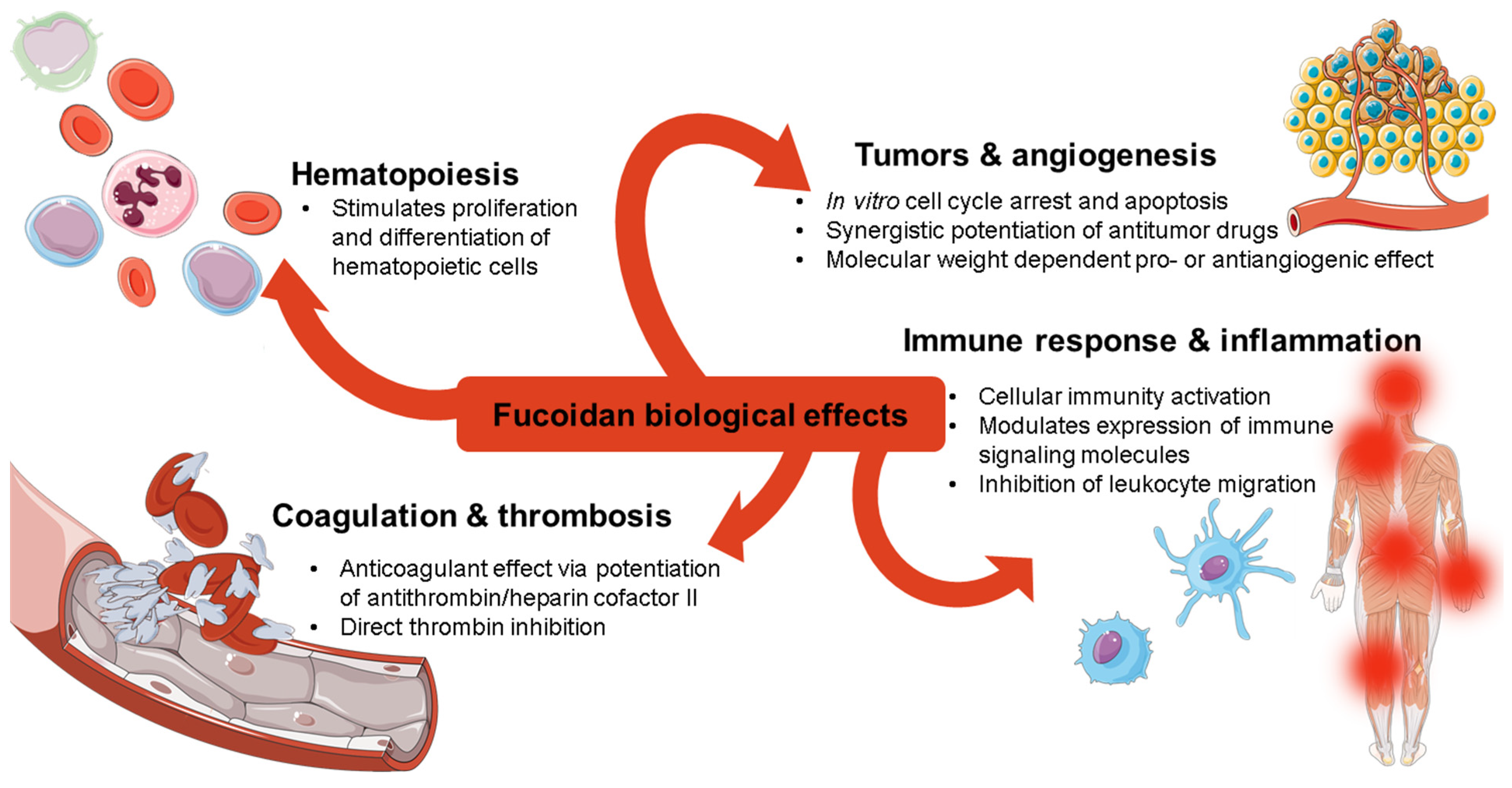 Ijms 23 11821 g001 Ijms 23 11821 g001