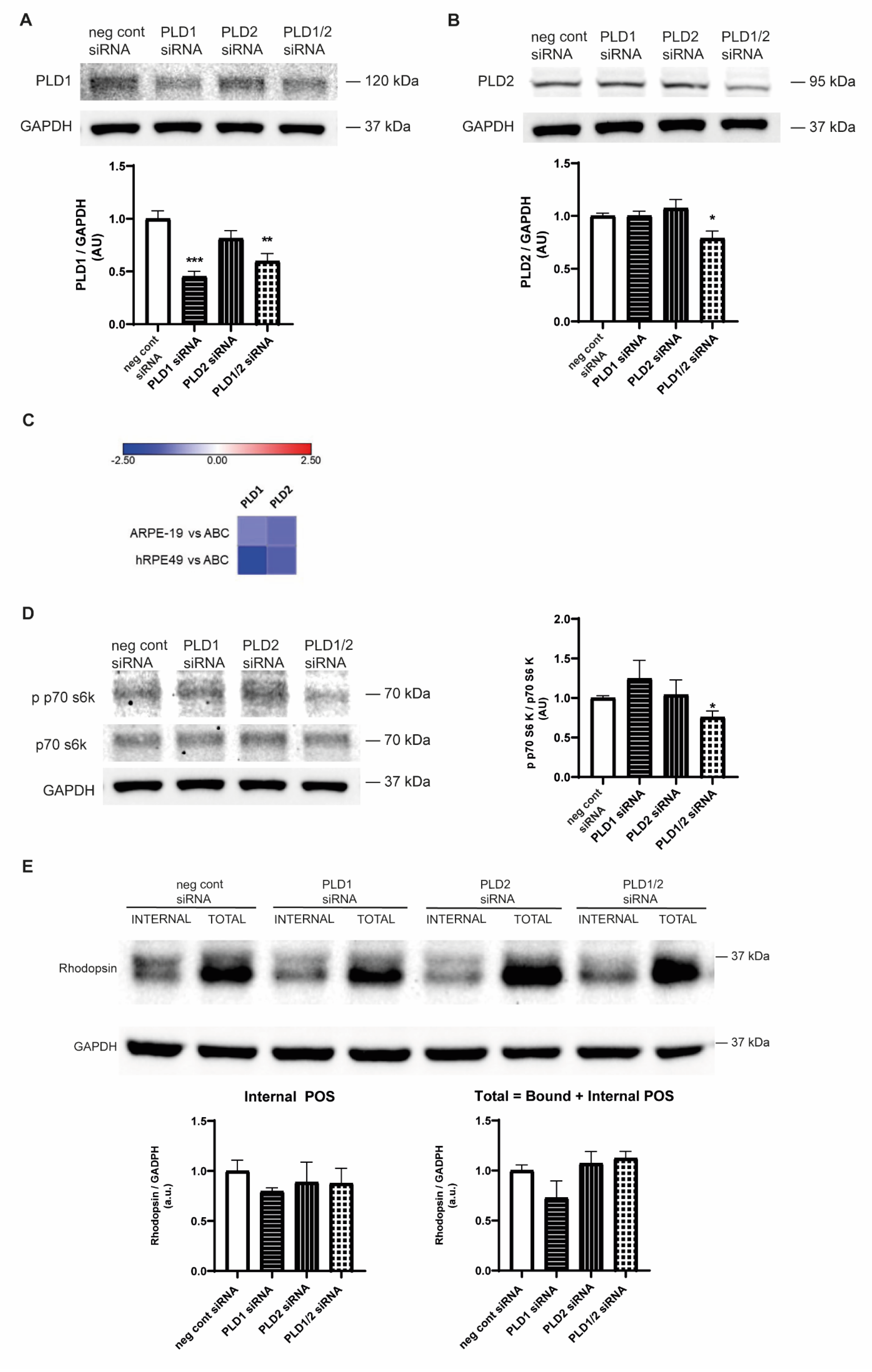 Ijms 23 11823 g003 Ijms 23 11823 g003