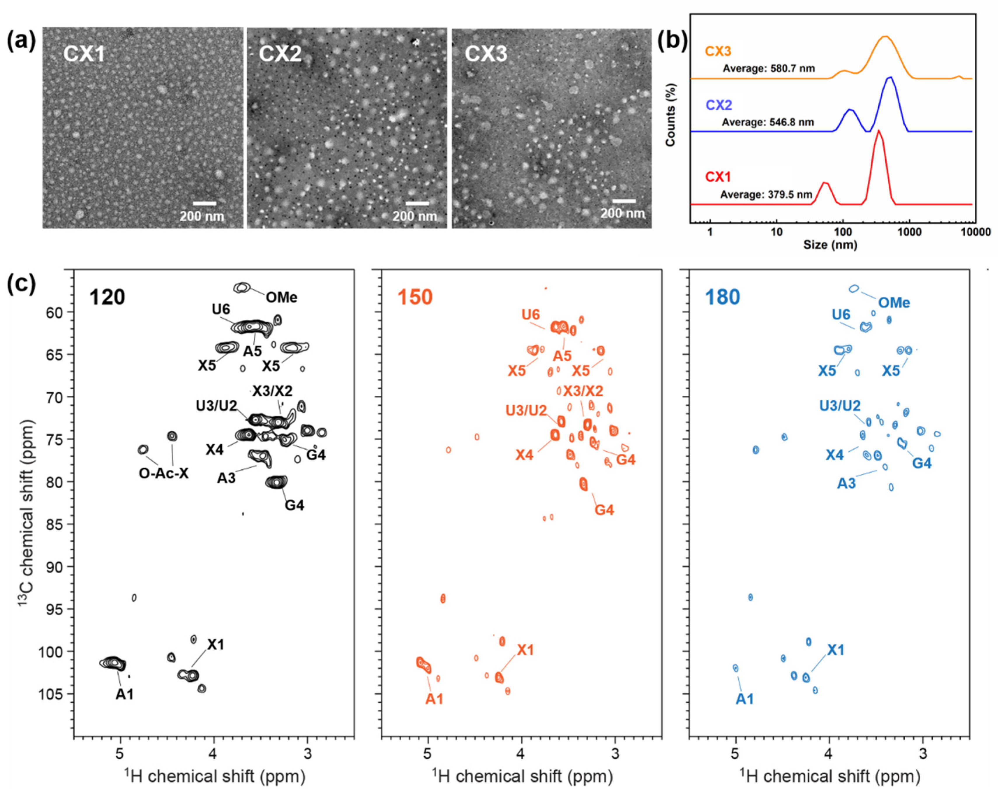 Ijms 23 11829 g004 Ijms 23 11829 g004