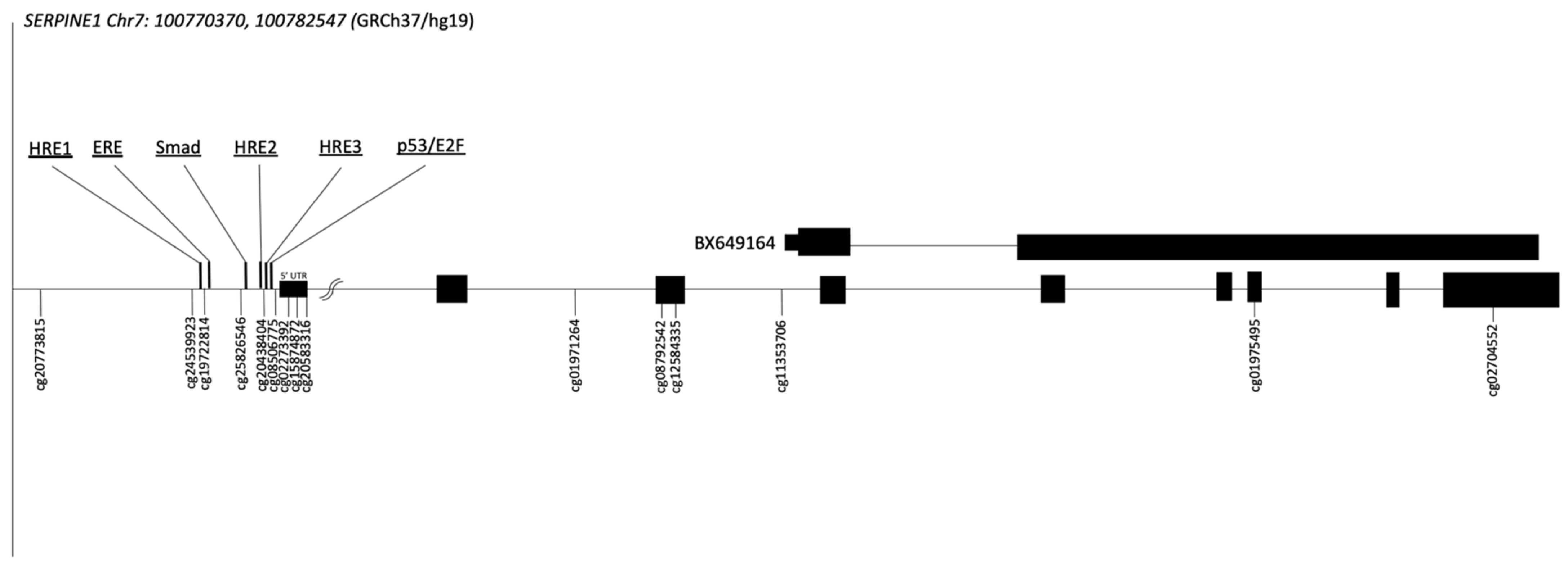 Ijms 23 11833 g001 Ijms 23 11833 g001