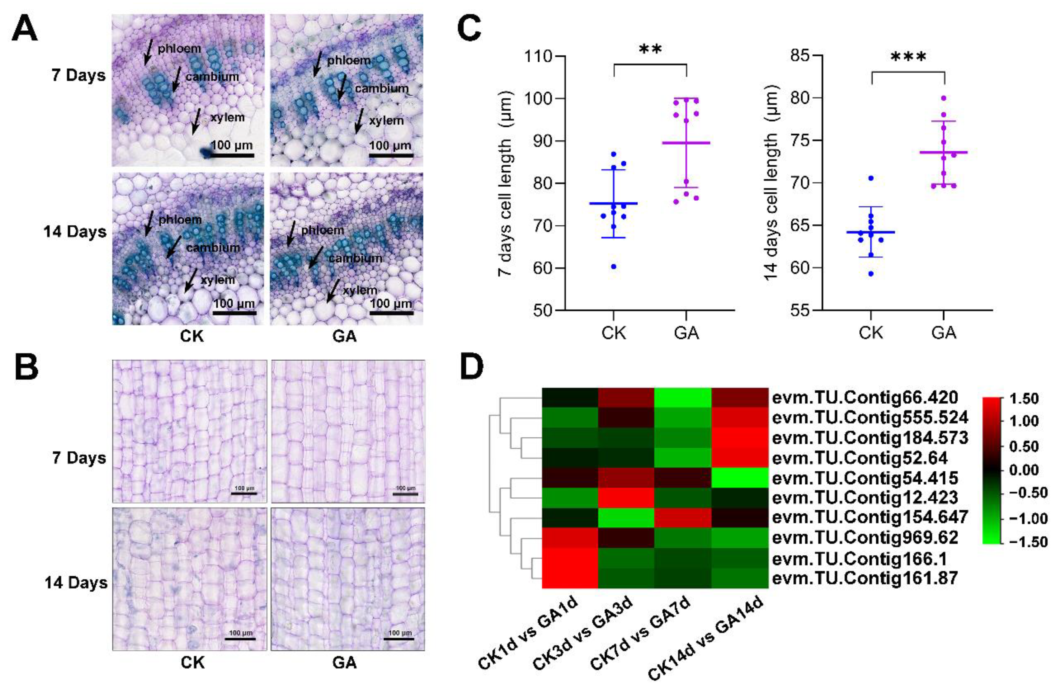 Ijms 23 11842 g003 Ijms 23 11842 g003