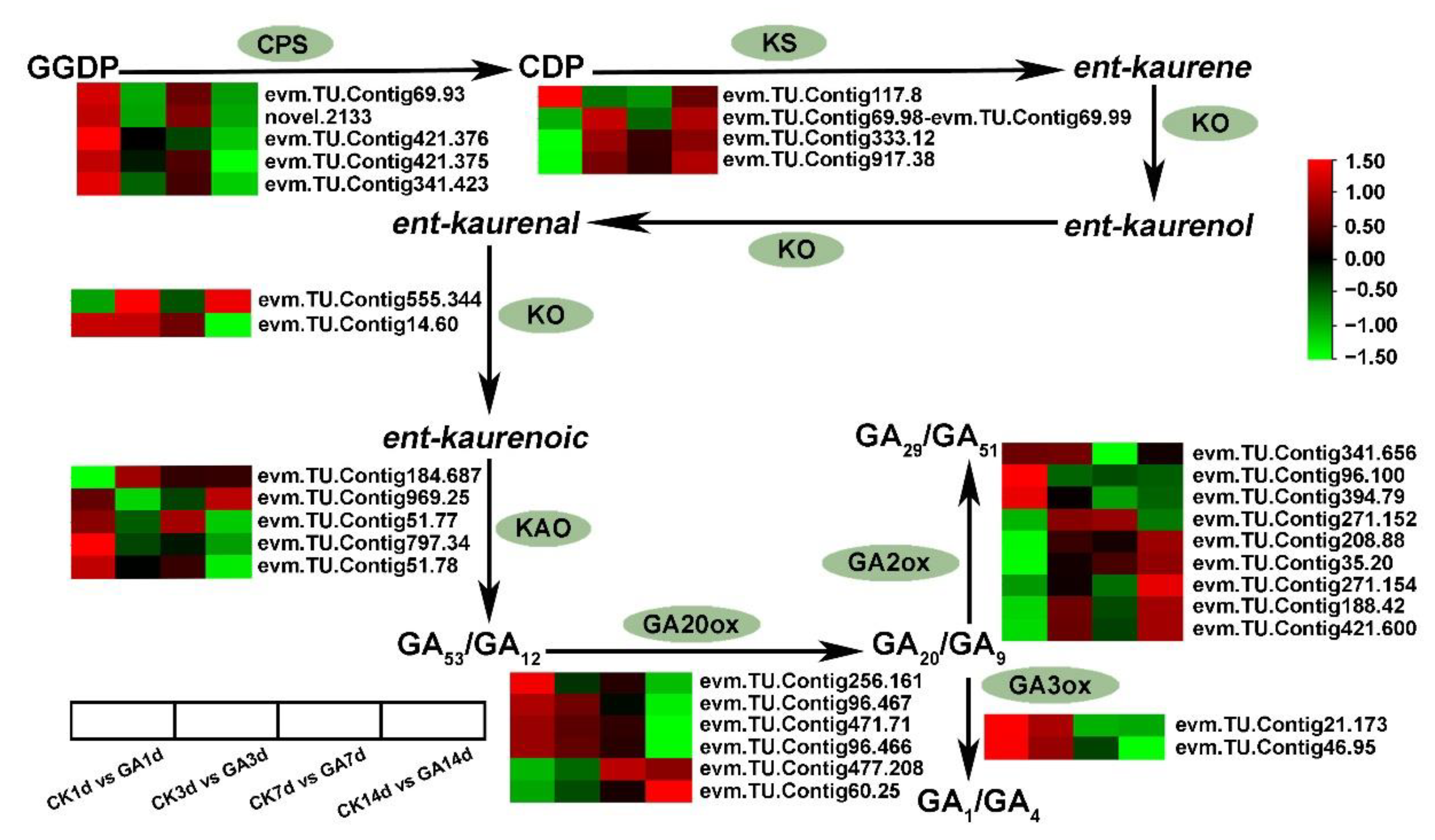 Ijms 23 11842 g004 Ijms 23 11842 g004