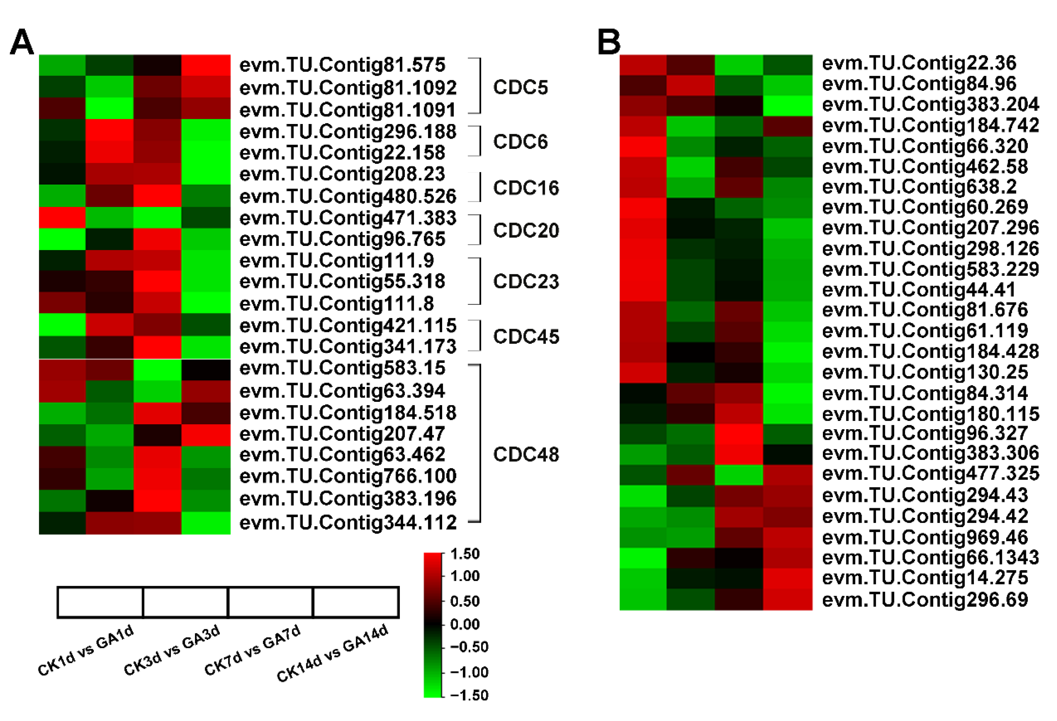 Ijms 23 11842 g006 Ijms 23 11842 g006