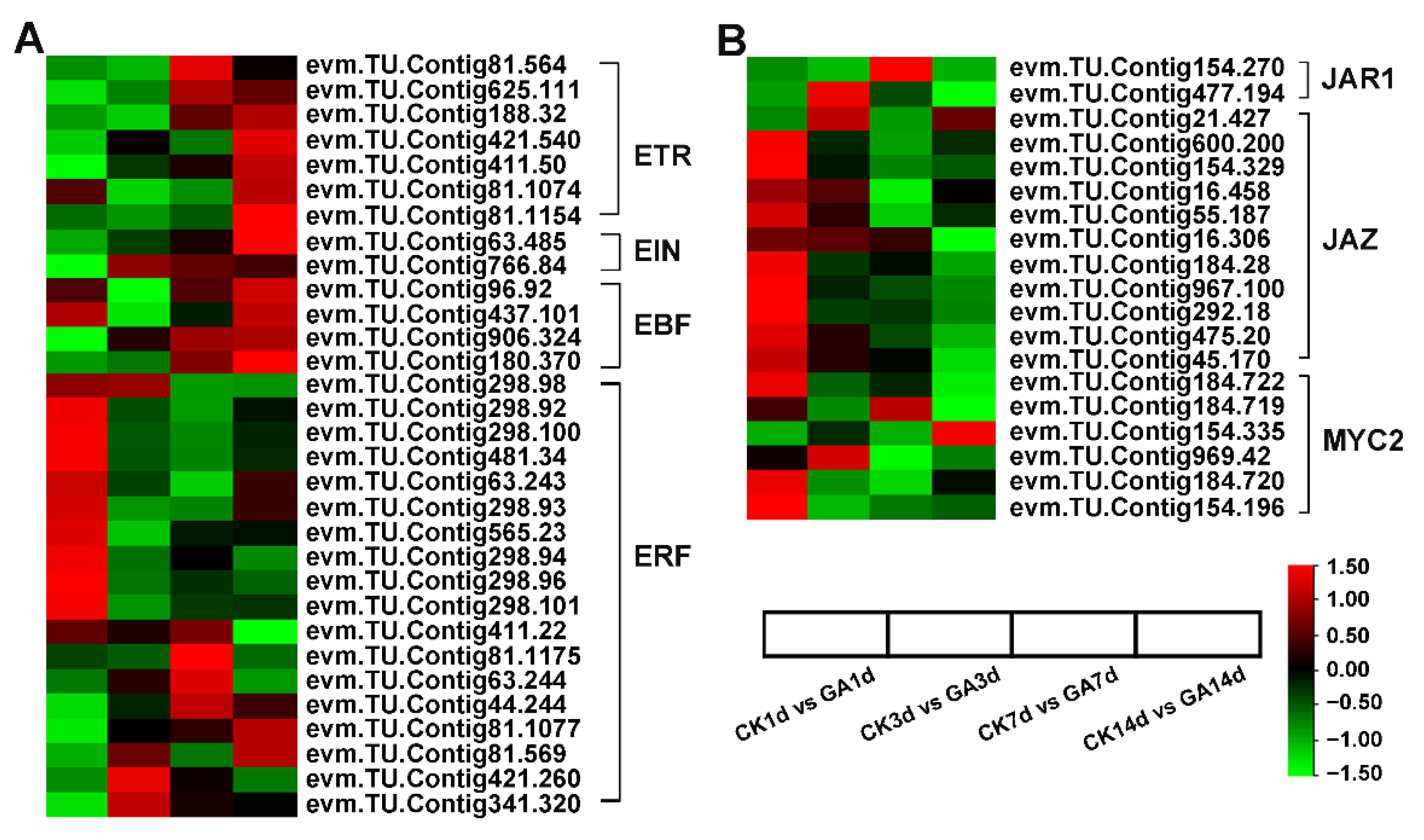 Ijms 23 11842 g007 Ijms 23 11842 g007