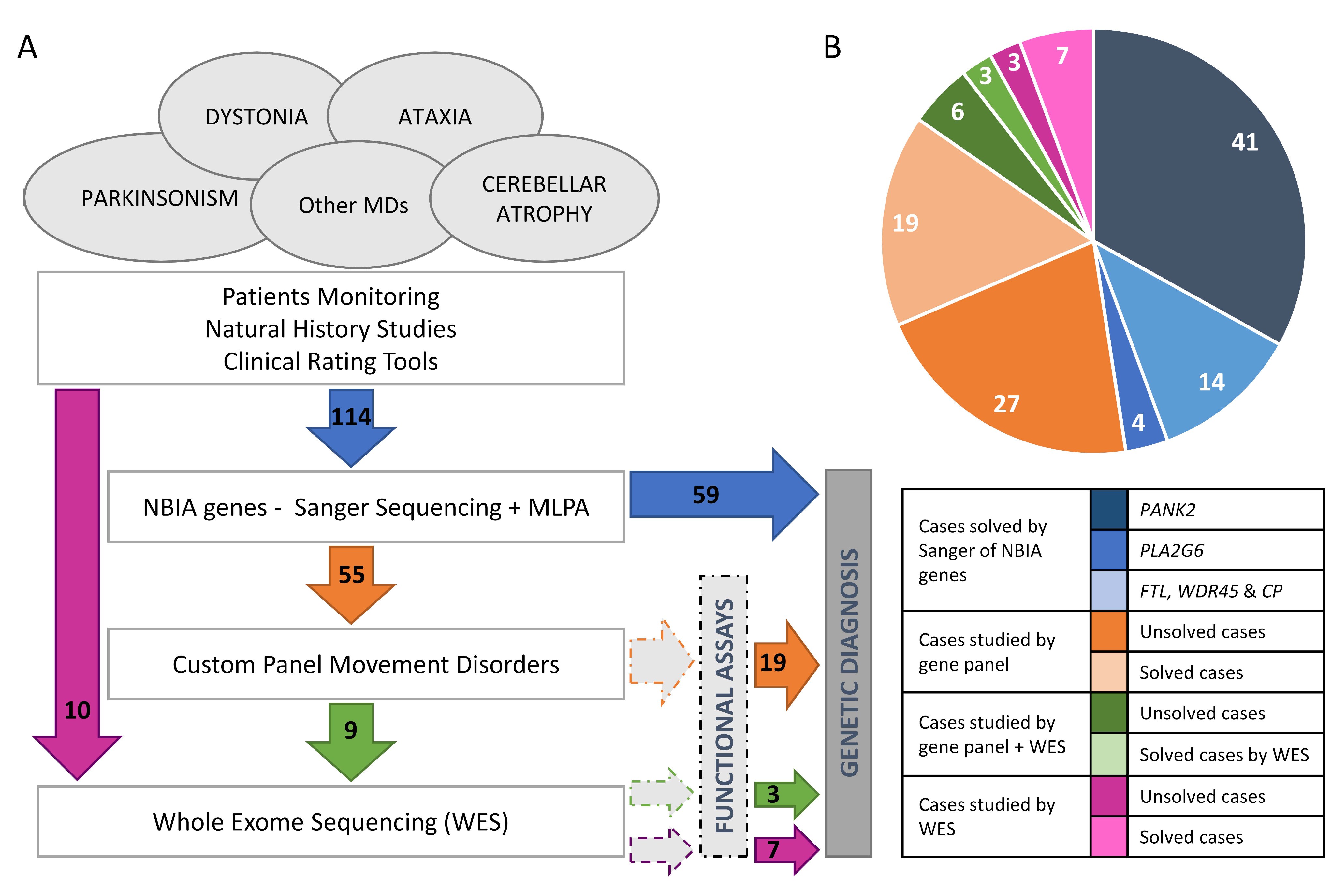 IJMS | Free Full-Text | Mutations, Genes, and Phenotypes Related to  Movement Disorders and Ataxias