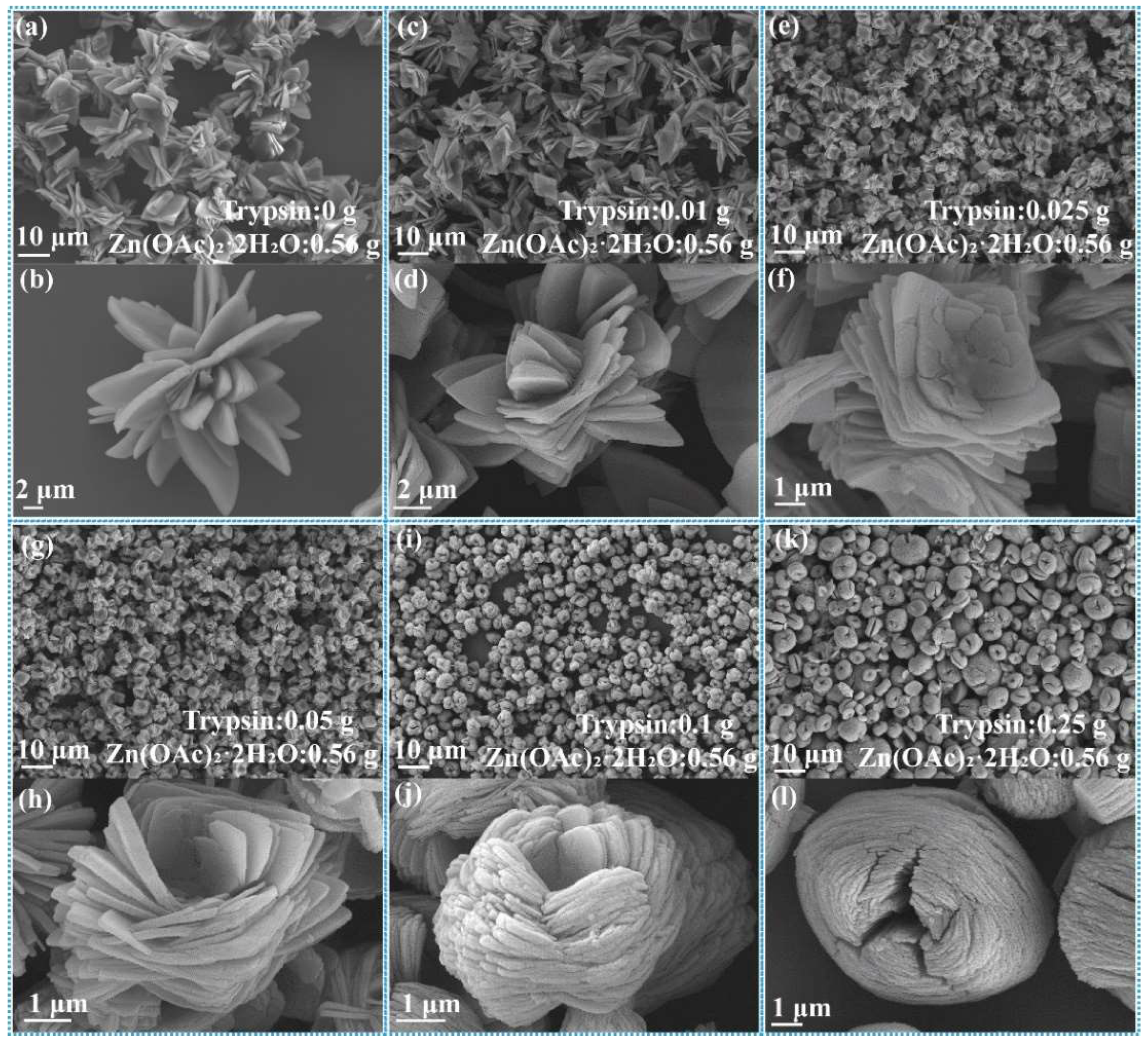 Ijms 23 11853 g001 Ijms 23 11853 g001