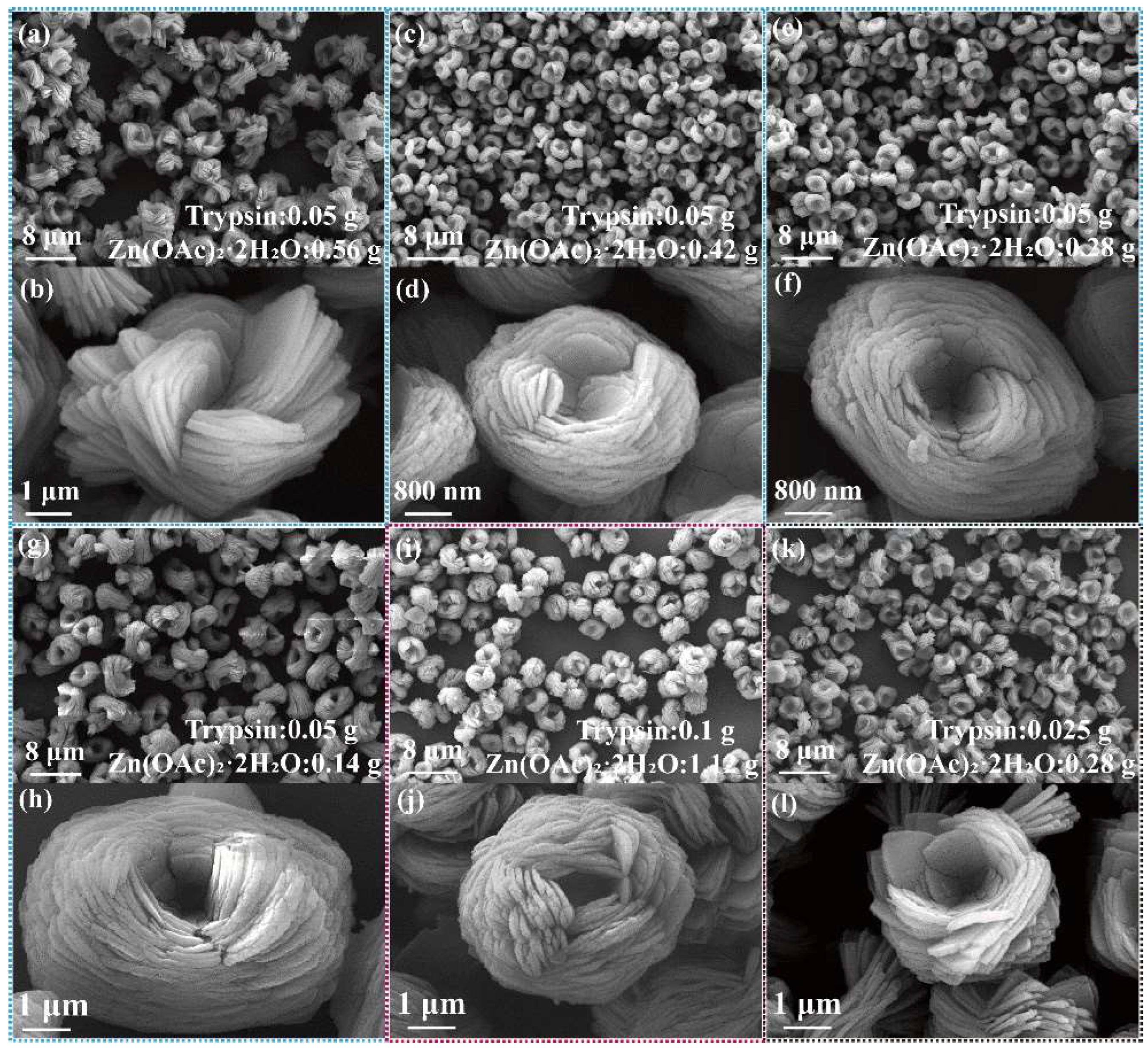 Ijms 23 11853 g003 Ijms 23 11853 g003