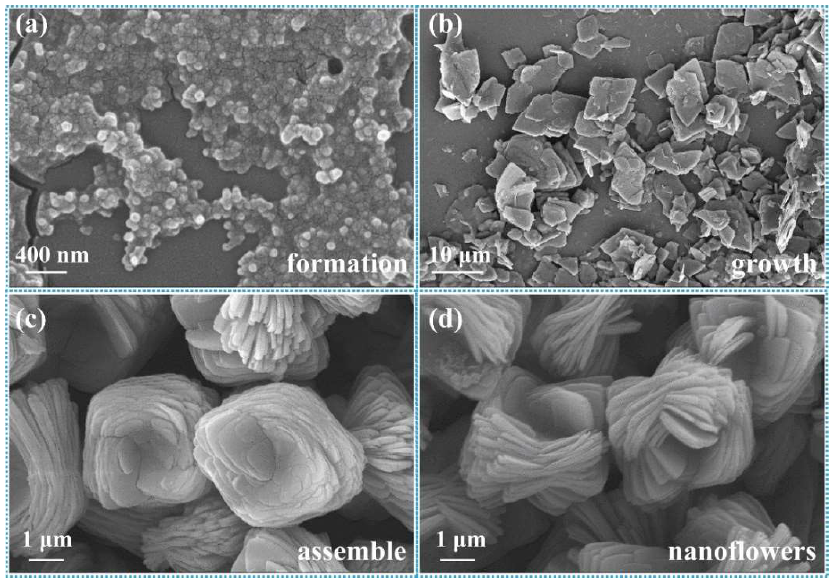 Ijms 23 11853 g004 Ijms 23 11853 g004