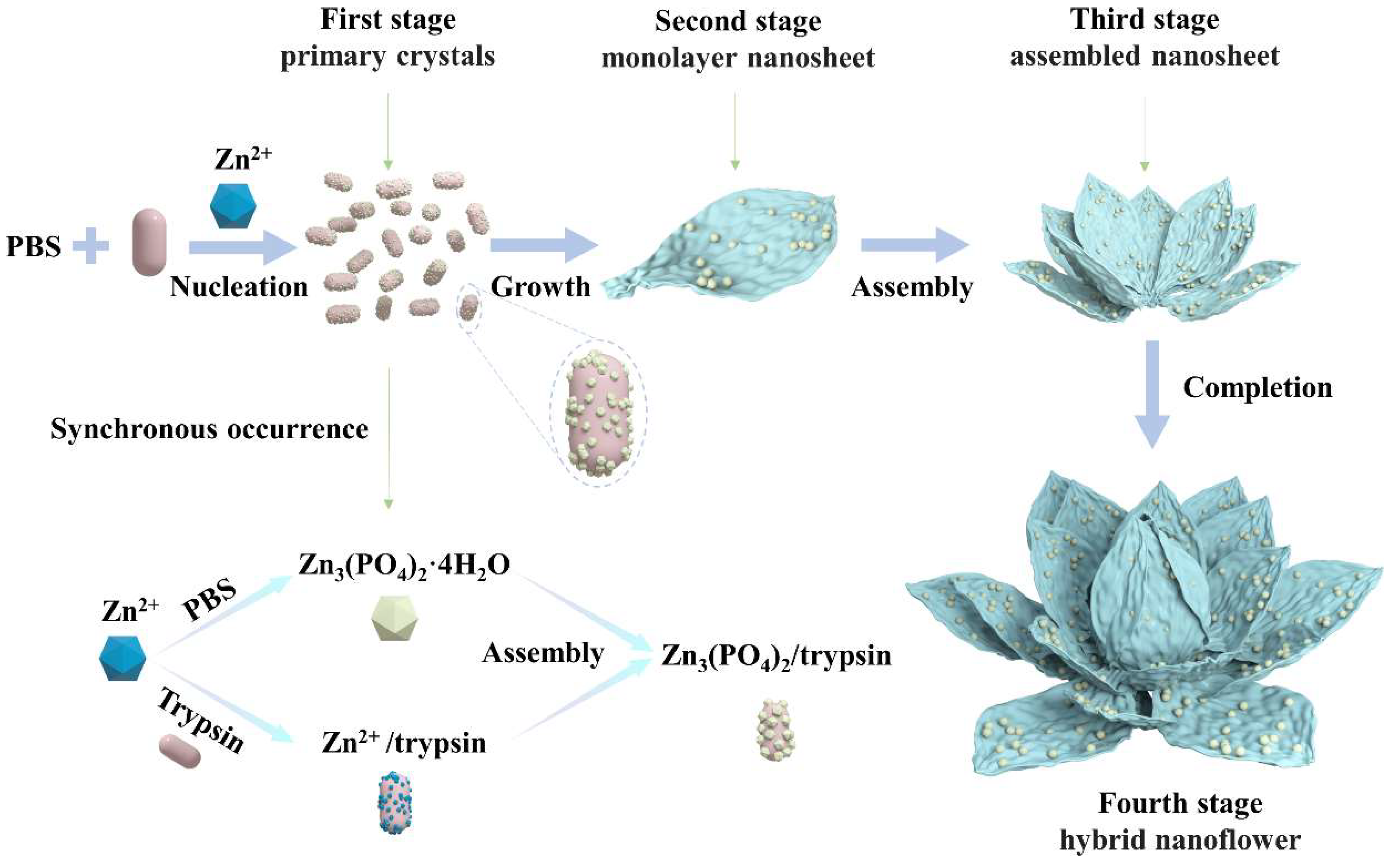 Ijms 23 11853 g005 Ijms 23 11853 g005