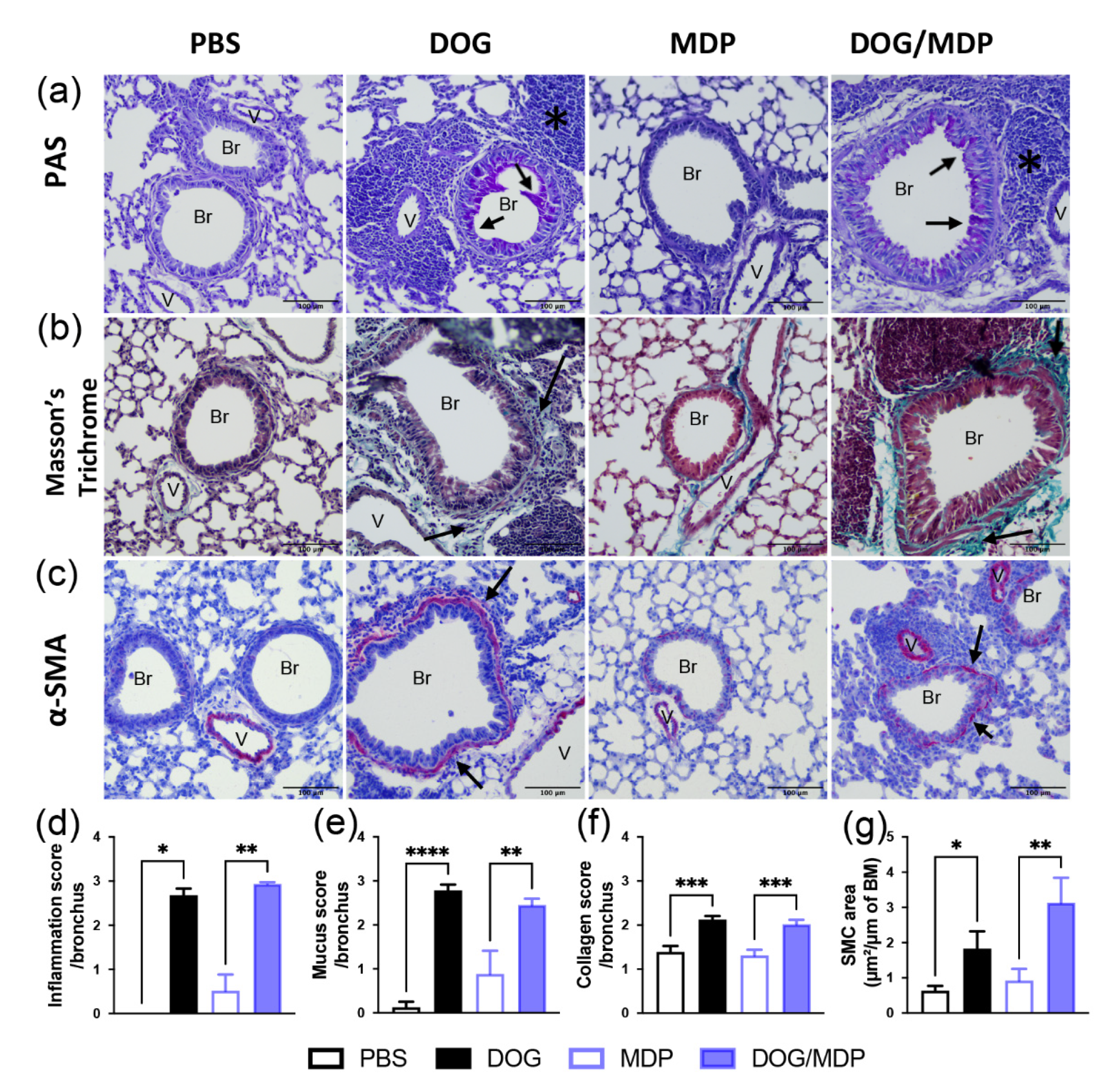 Ijms 23 11894 g005 Ijms 23 11894 g005